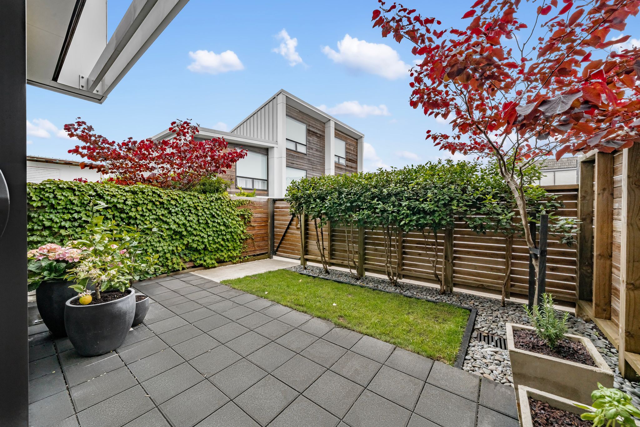 7/4 Glen Atkinson Street, St Heliers