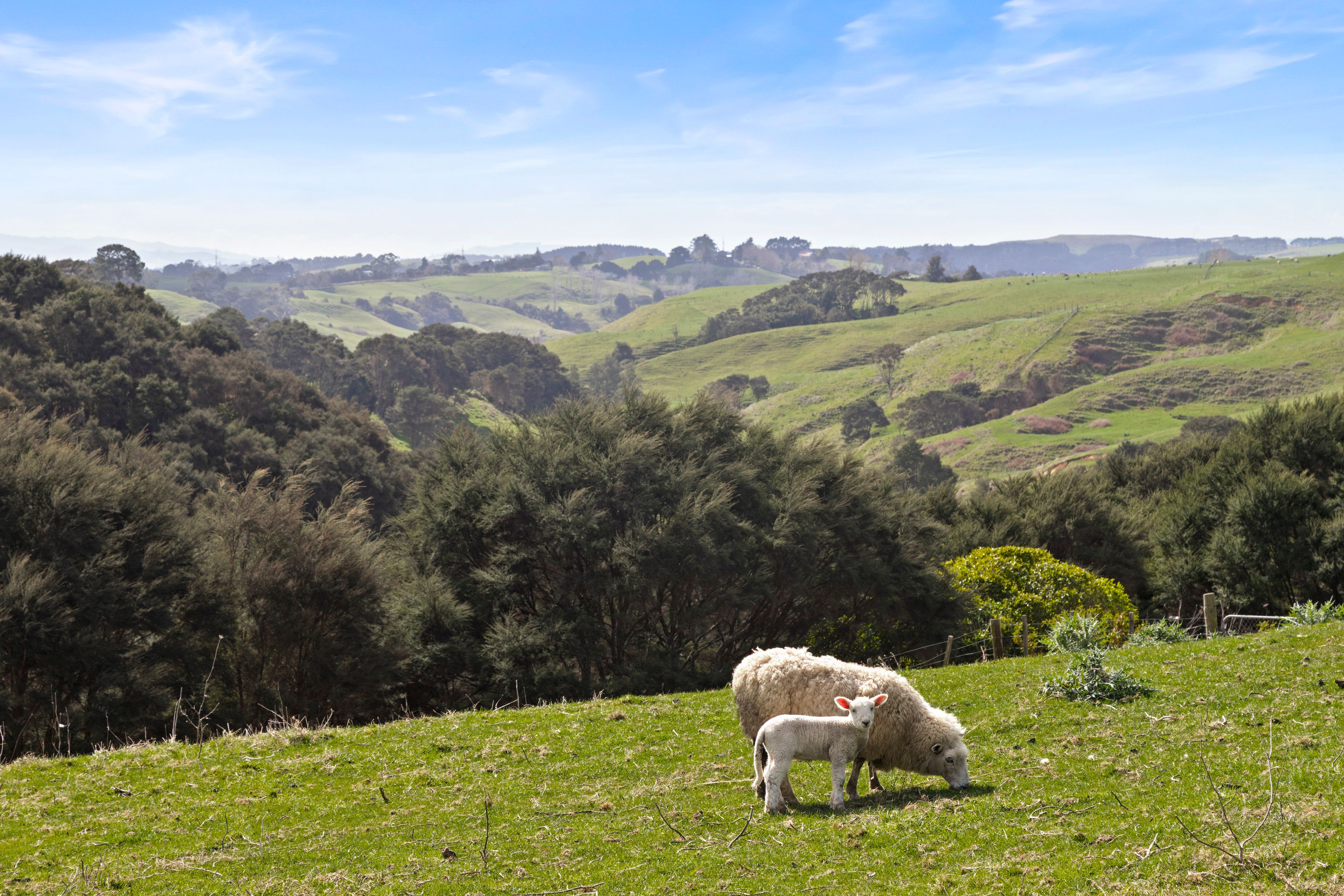 1851 Highway 22, Pukekawa, Waikato District