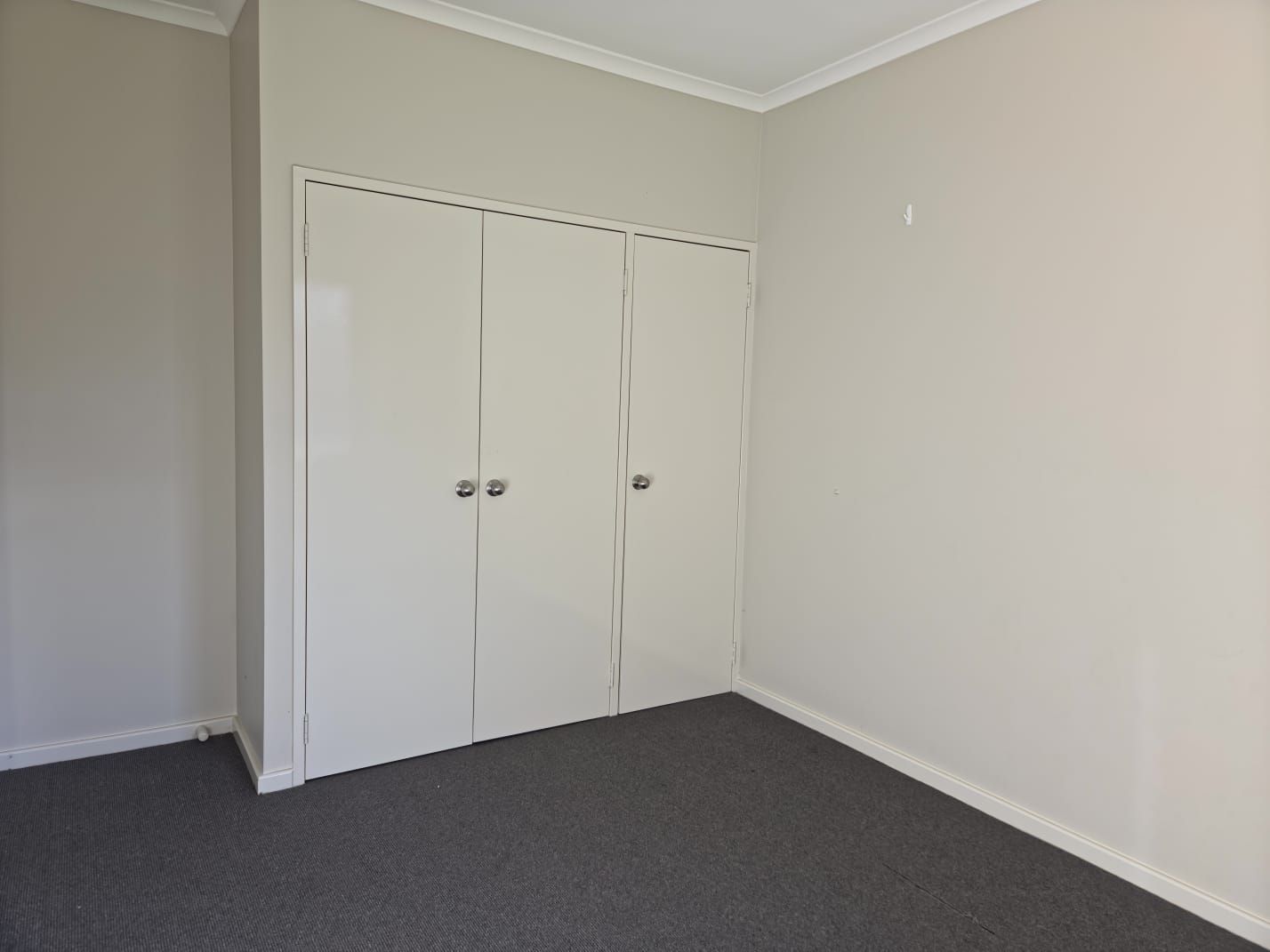 72 Maitland Street — photo 21 of 30