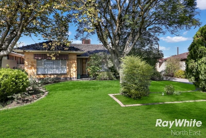 3 College Avenue, Valley View SA 5093