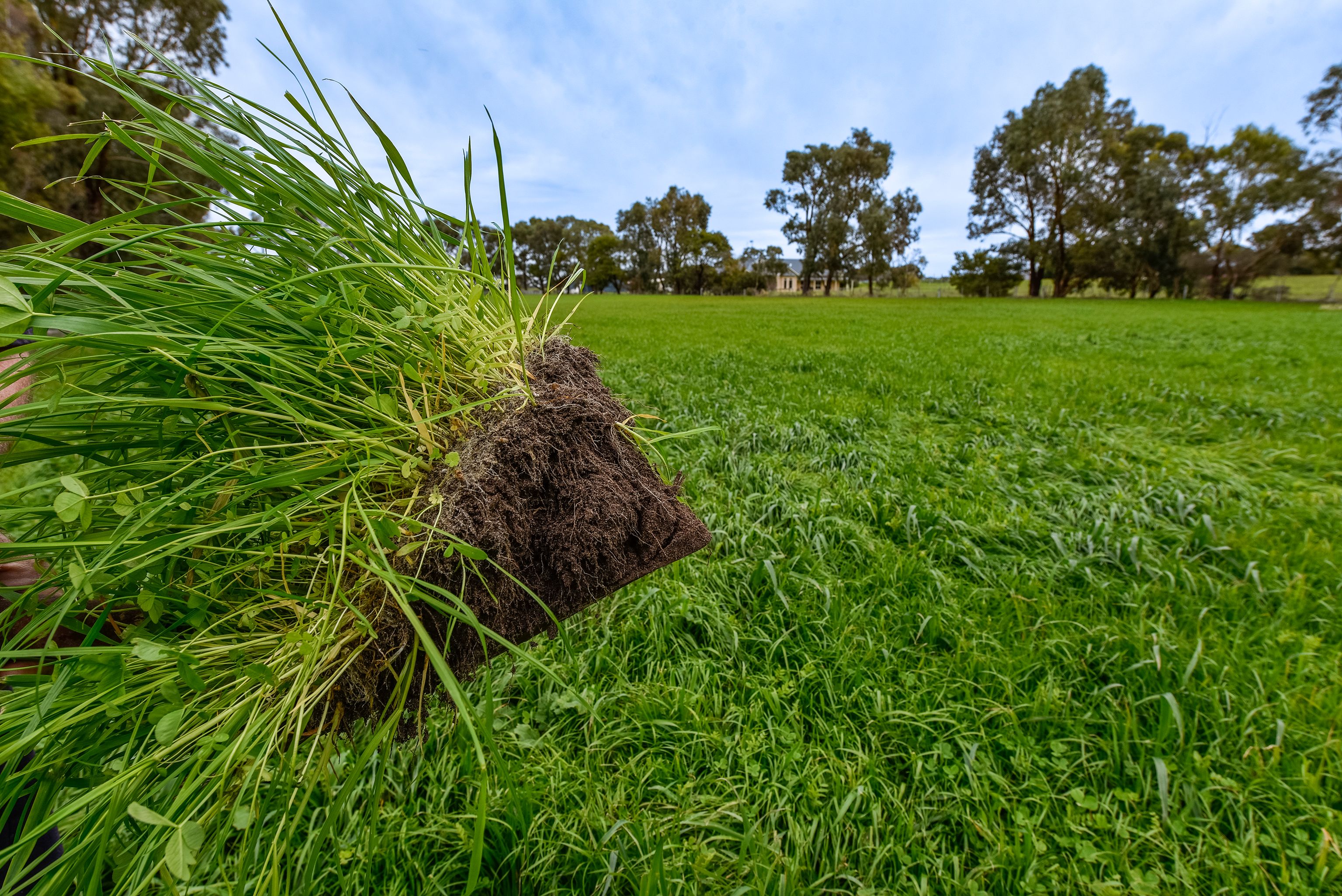 210 Pinks Beach Road, Kingston Se, SA 5275