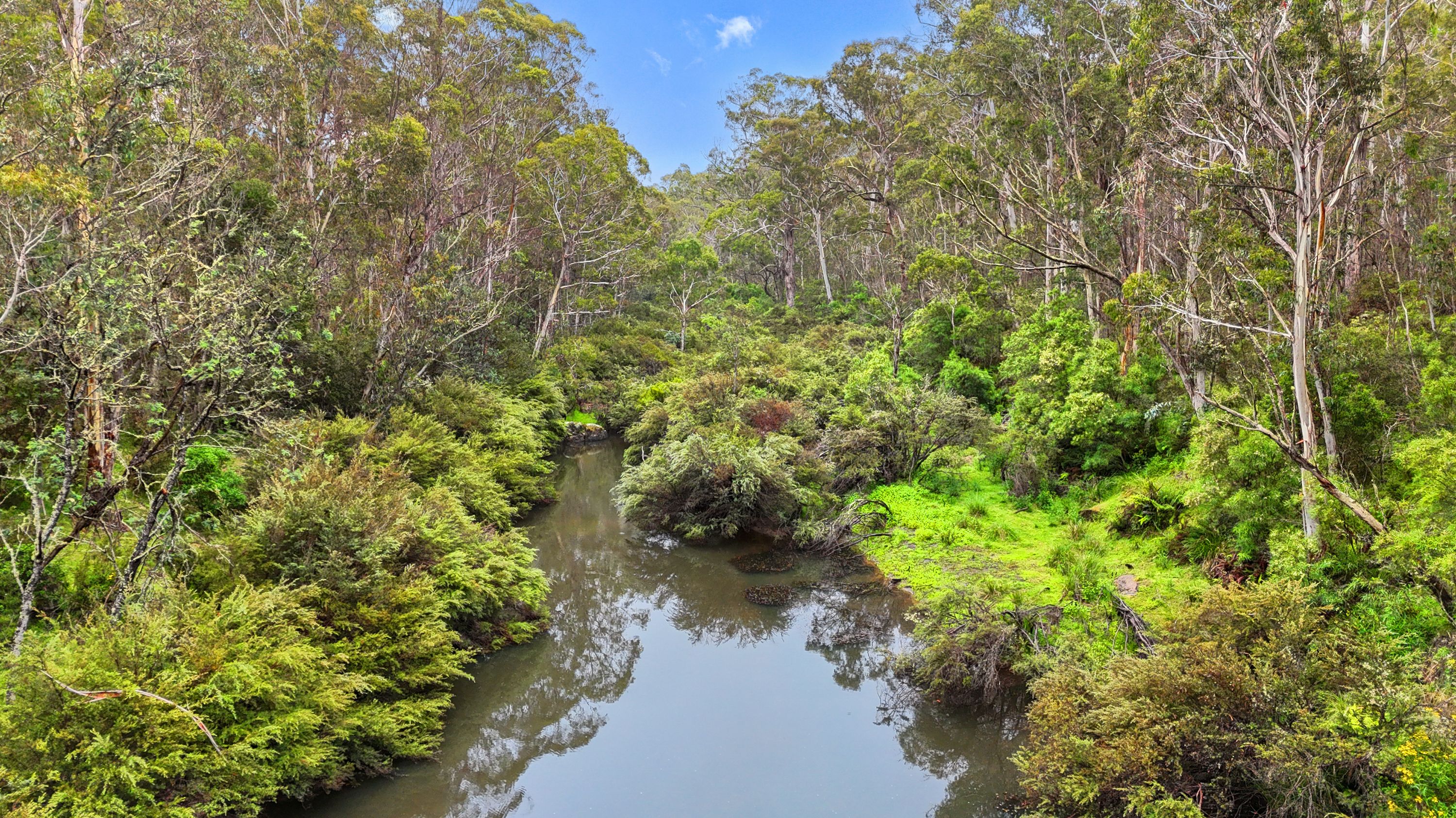1409 New Line Road, Glen Allen, NSW 2631