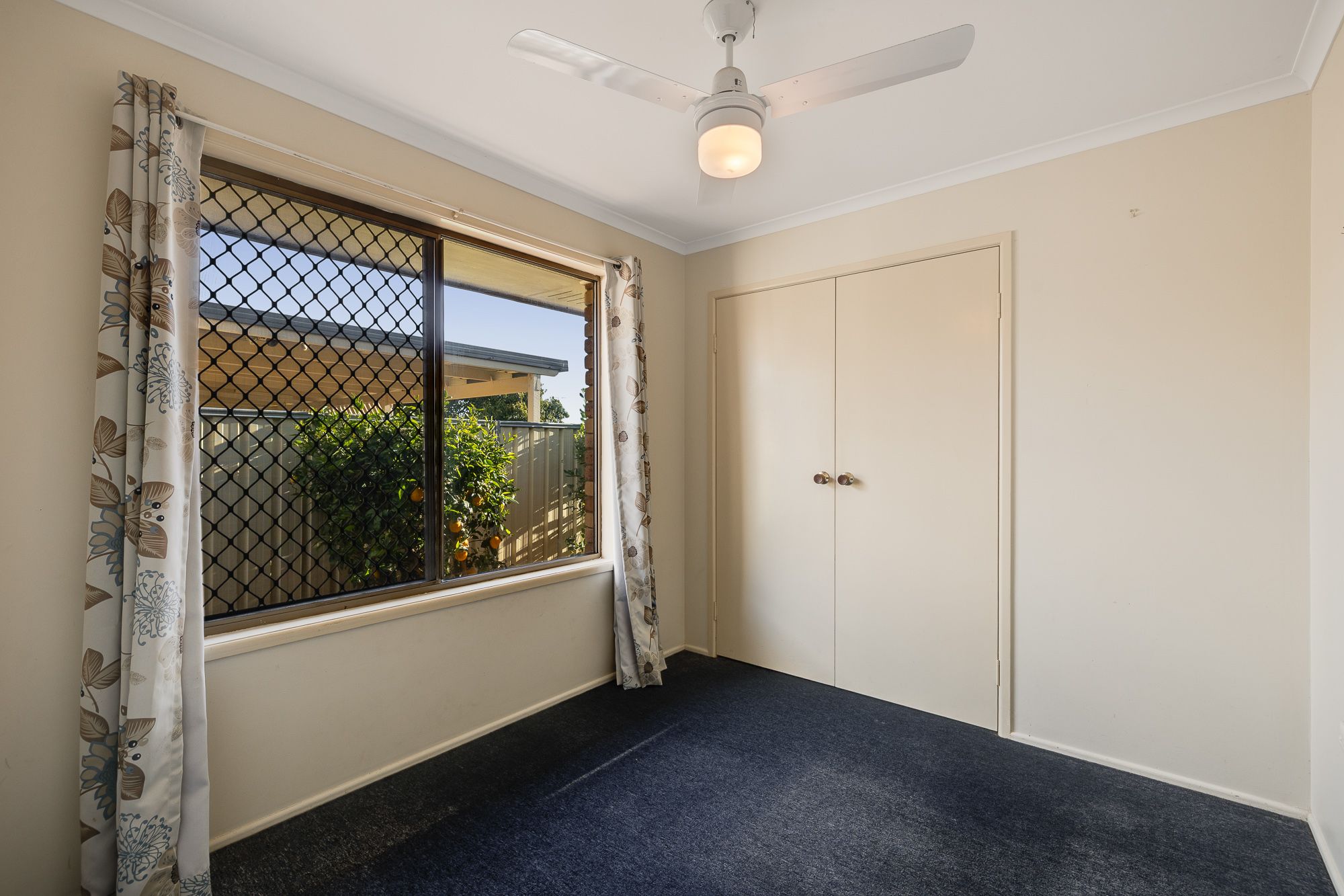 13 Caldwell Street — photo 13 of 17