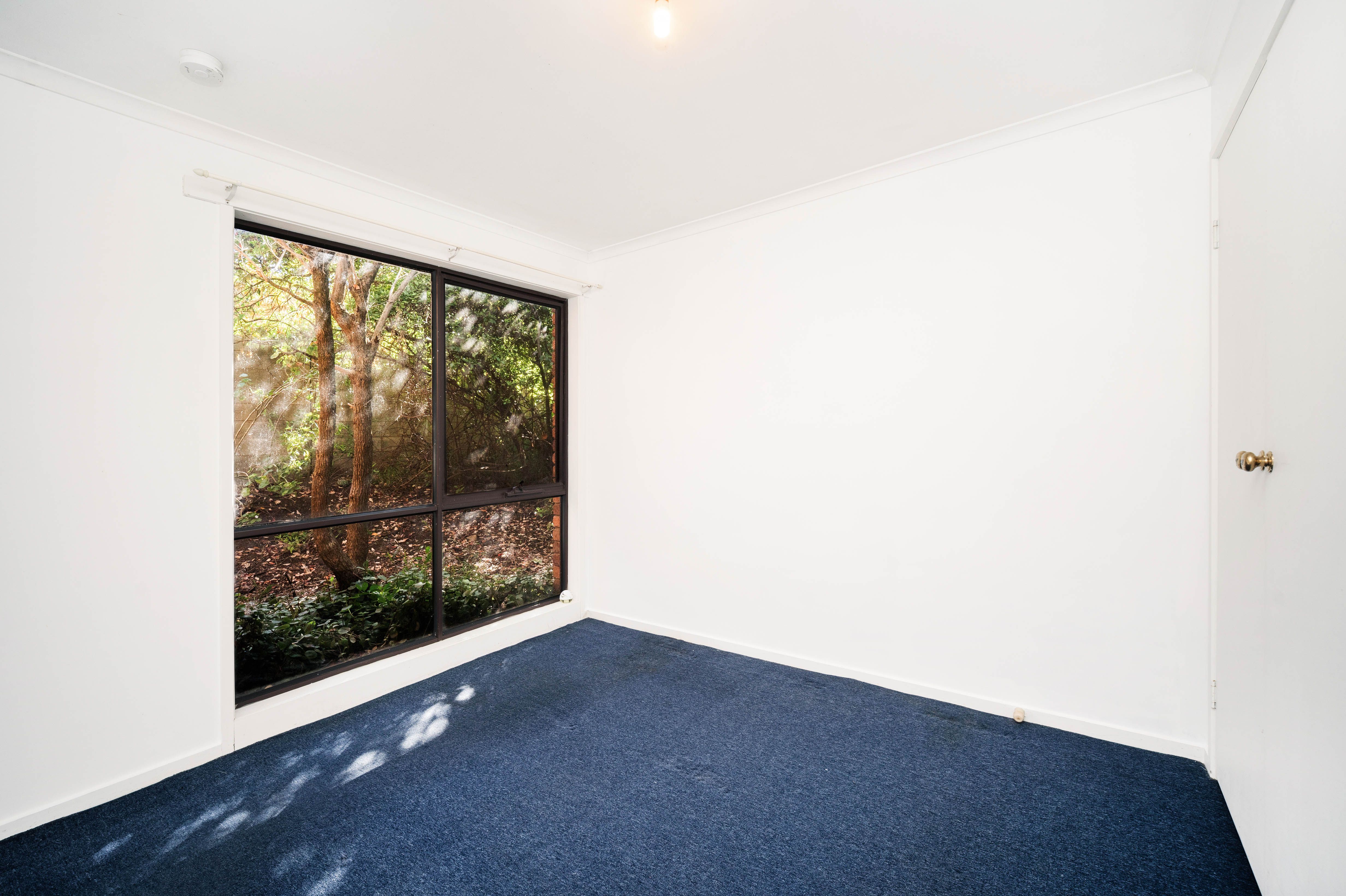 2/38 Kruger Street — photo 7 of 14