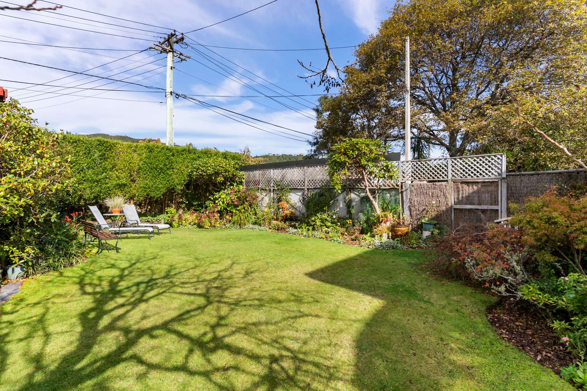 6 Darwin Street photo 24