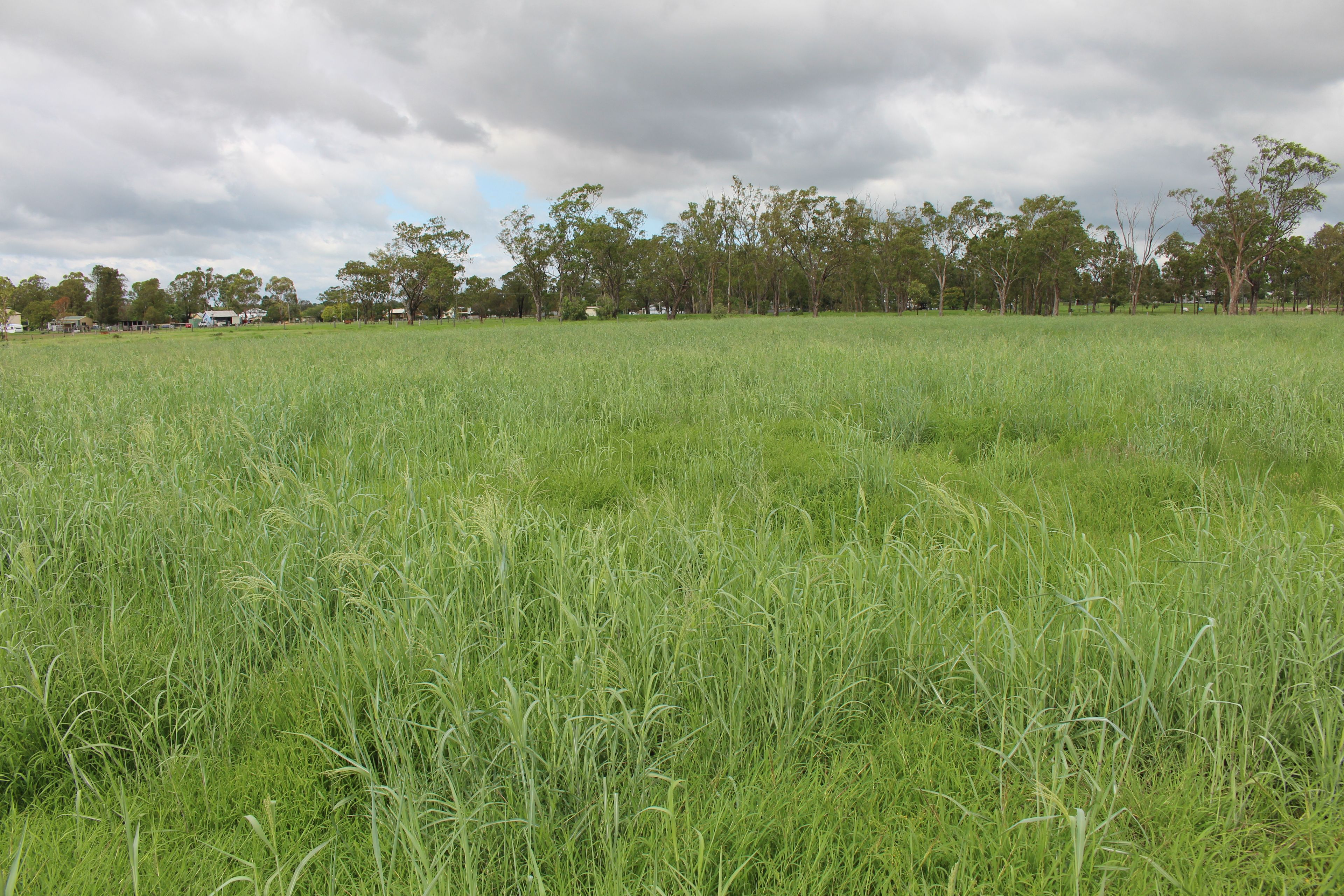 7852 Gore Highway, Millmerran QLD 4357