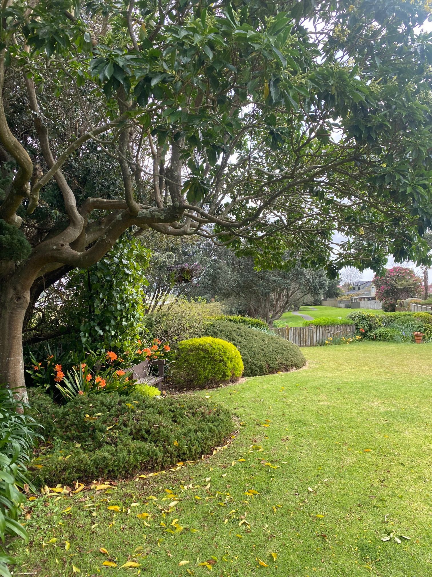 69 Walter Strevens Drive, Conifer Grove, Manukau City