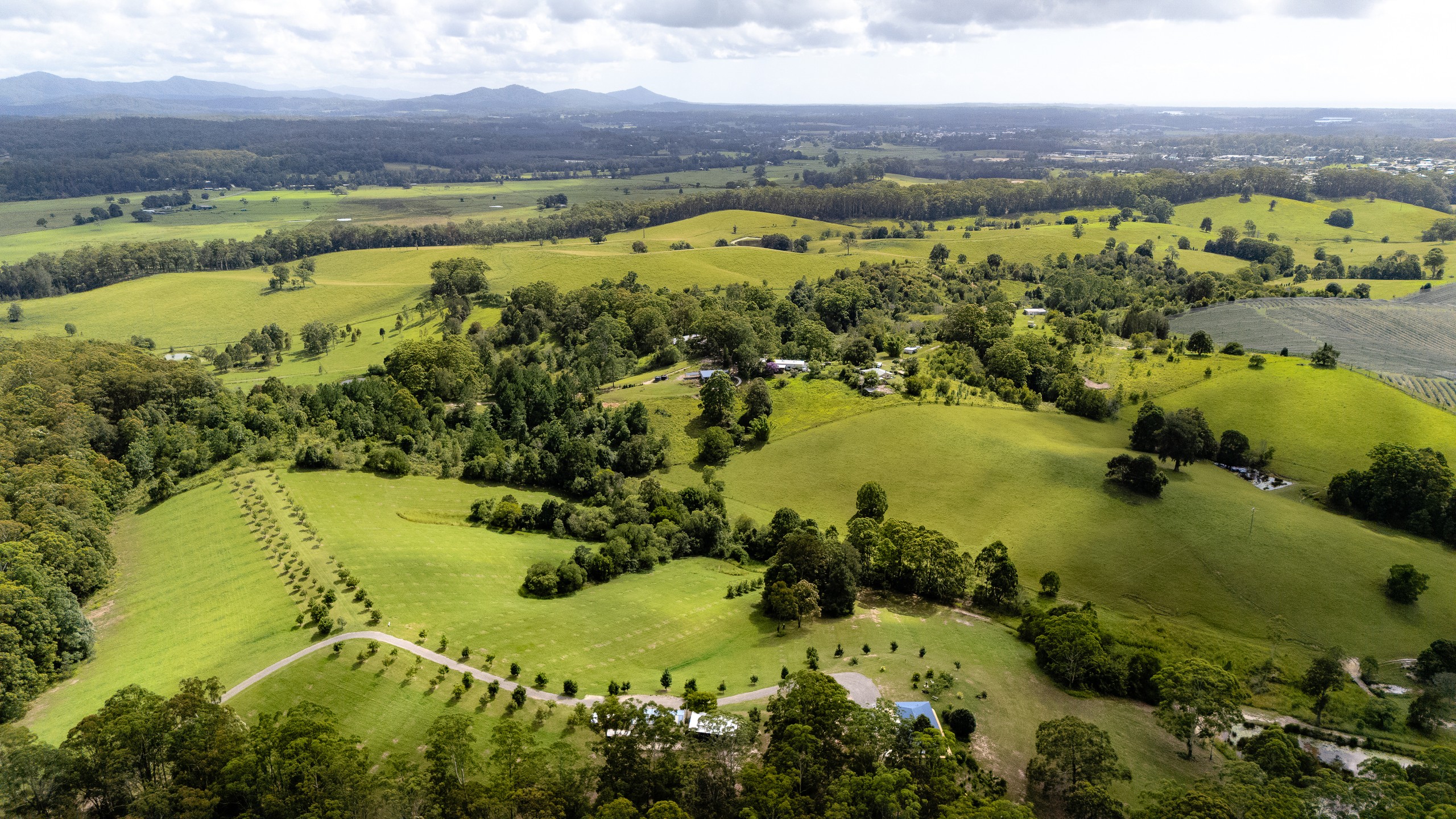 223 Congarinni Road South, Congarinni, NSW 2447