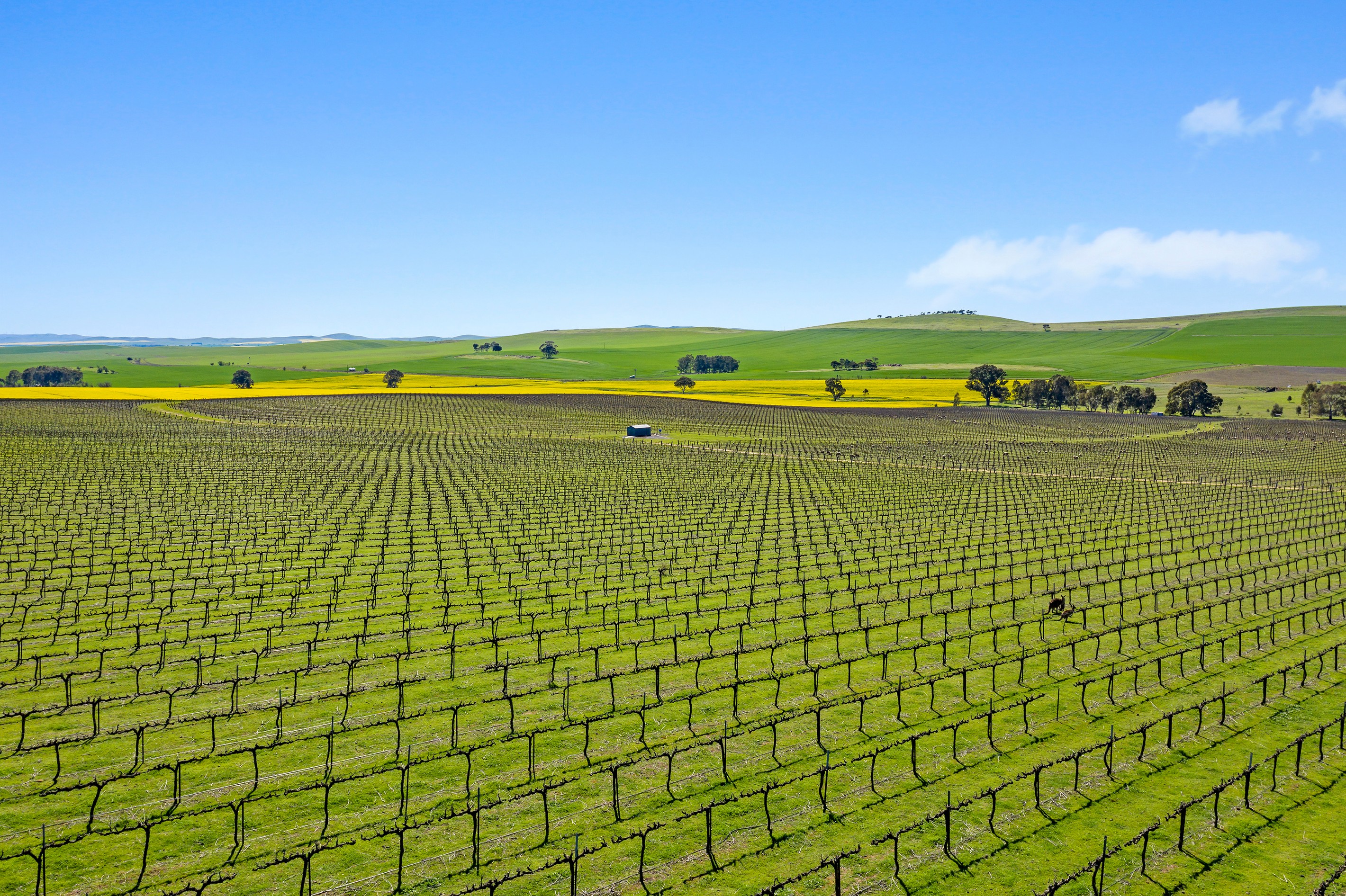 329 Barinia Road, Clare, SA 5453