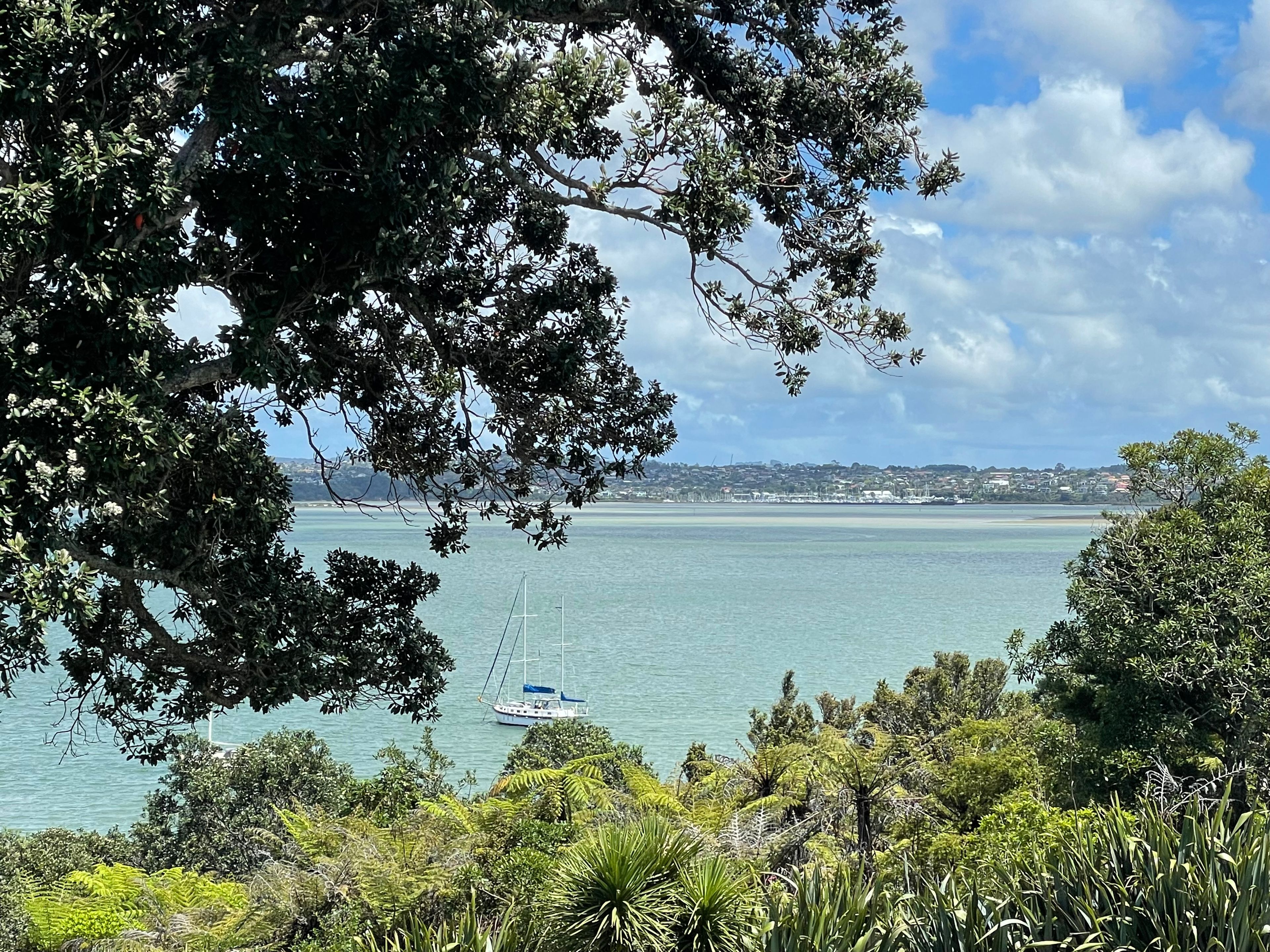 22 Valhalla Drive, Coastal Beach Haven, Auckland 0000 Sold House