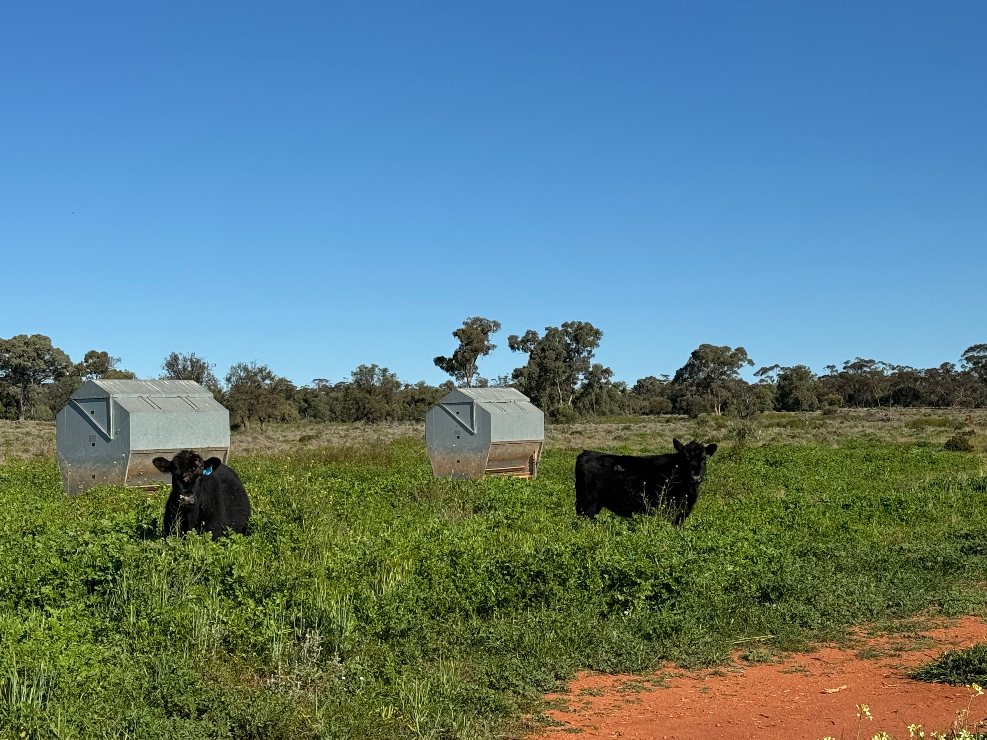 2823 Hermidale Nymagee Road, Hermidale, NSW 2831