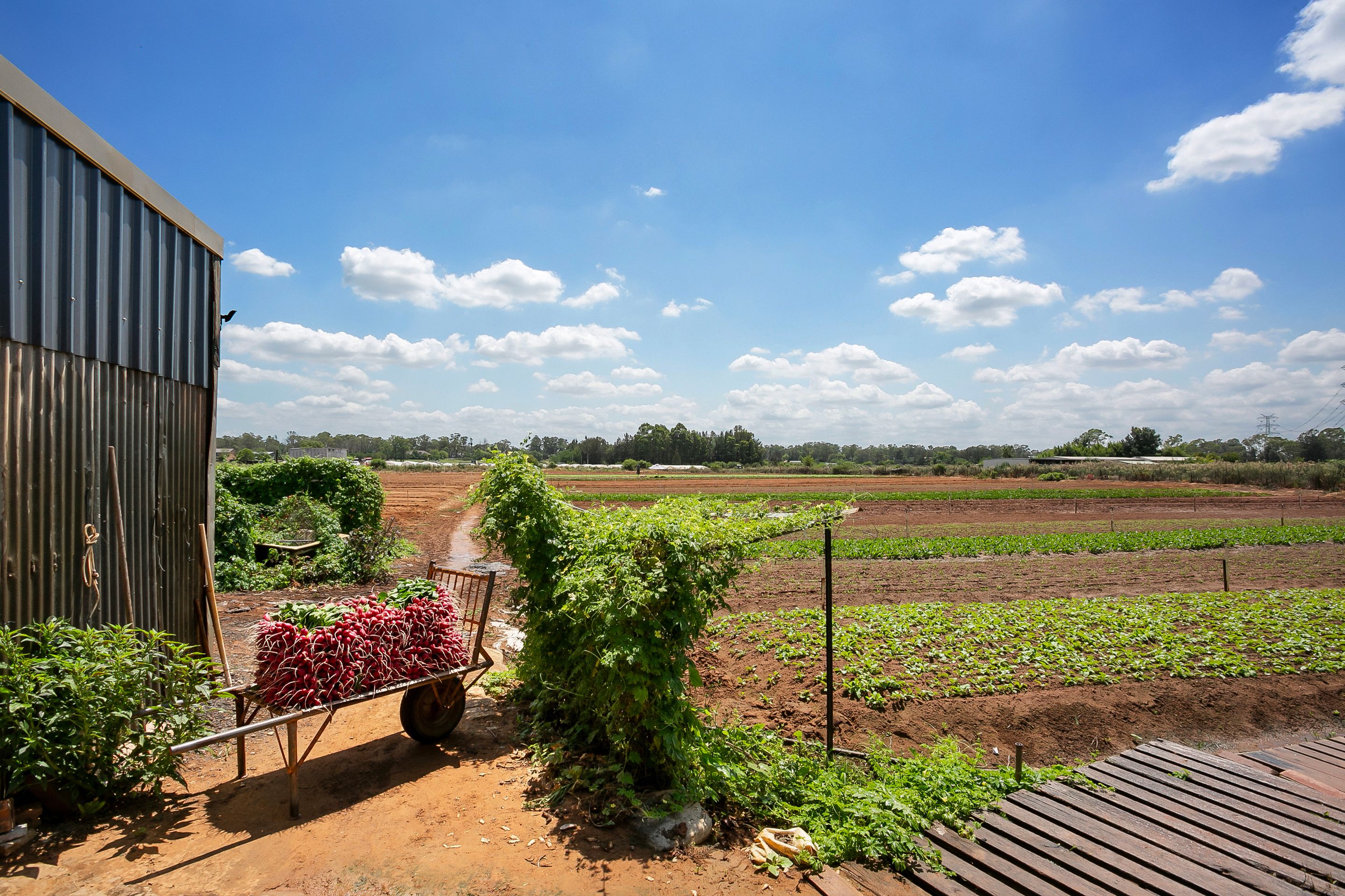 150 Sixth Avenue, Llandilo, NSW