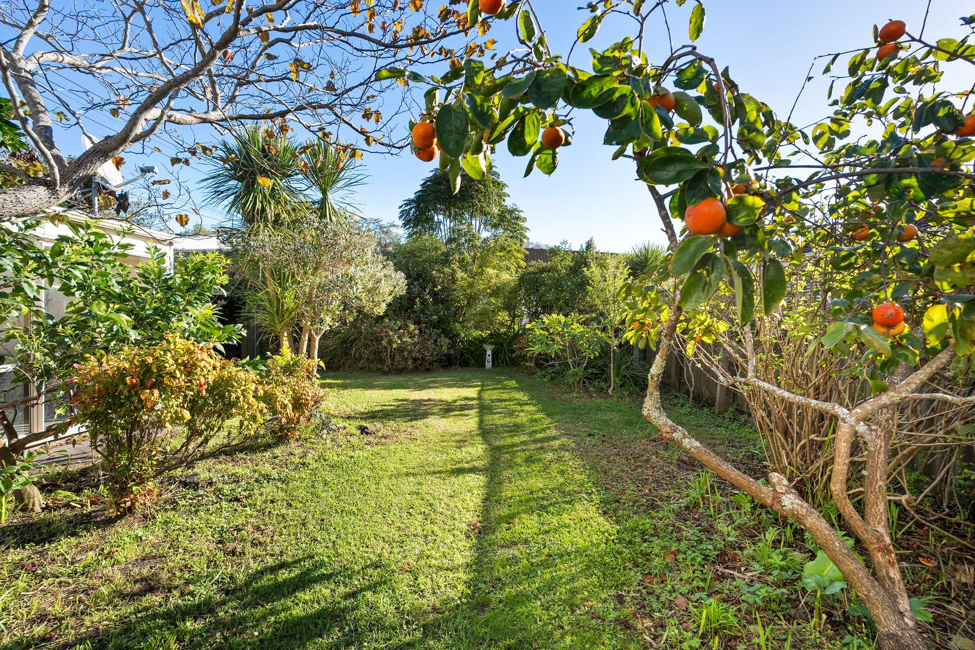 13 Wicklow Road photo 9