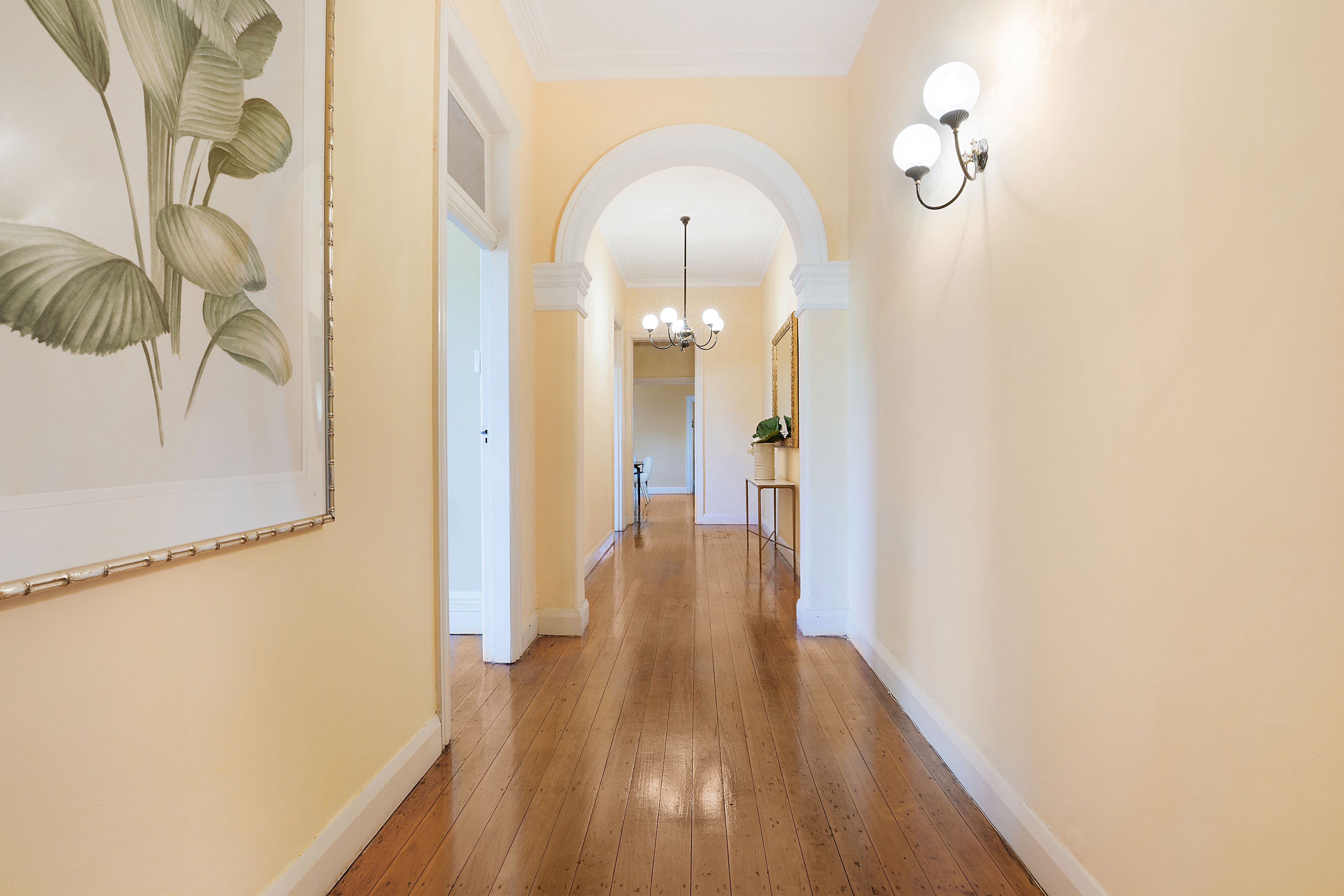 1/55 Albion Street, Waverley, NSW 2024