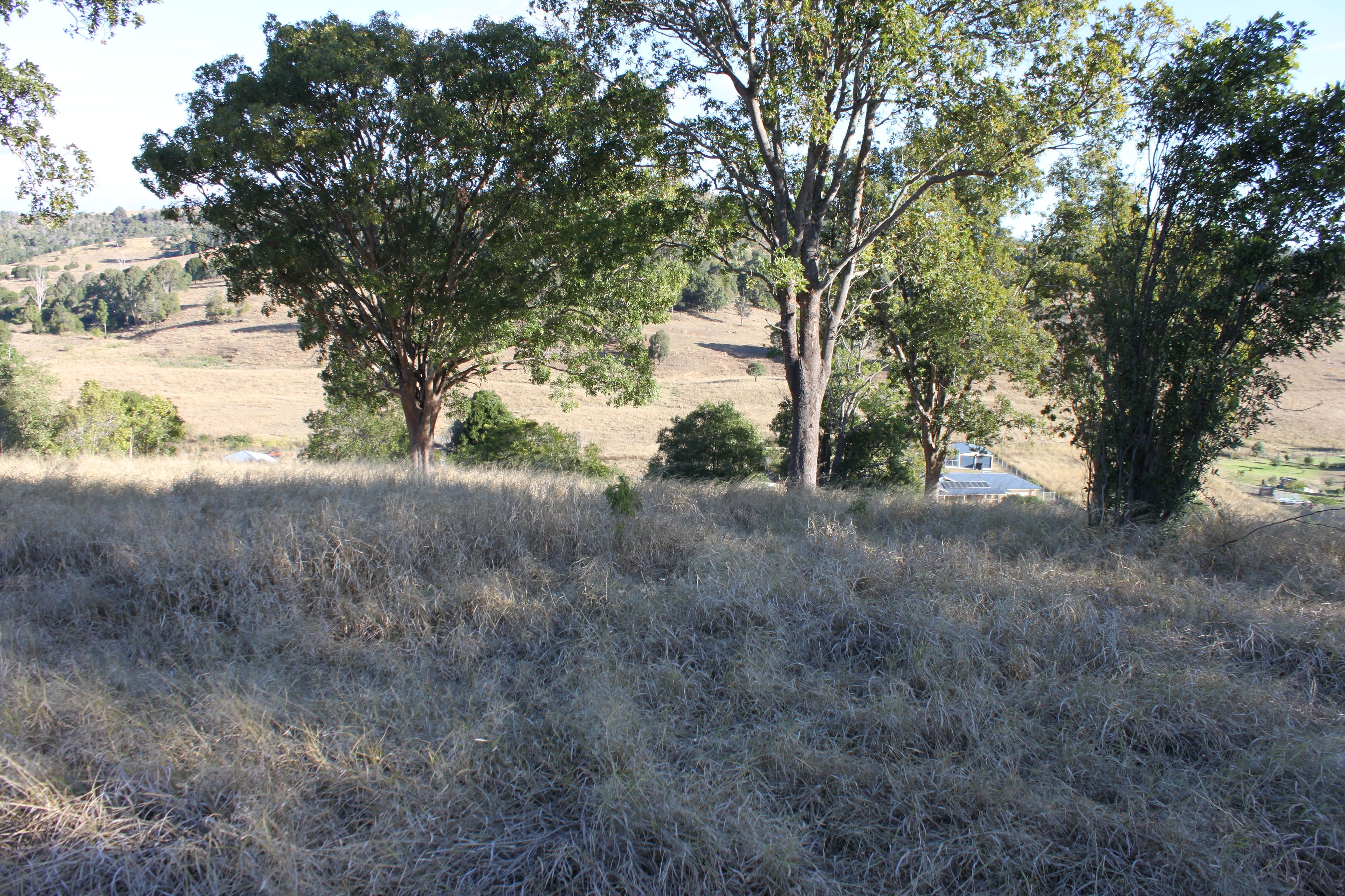 Lot 111 Harpeng Drive, Minden, QLD 4311