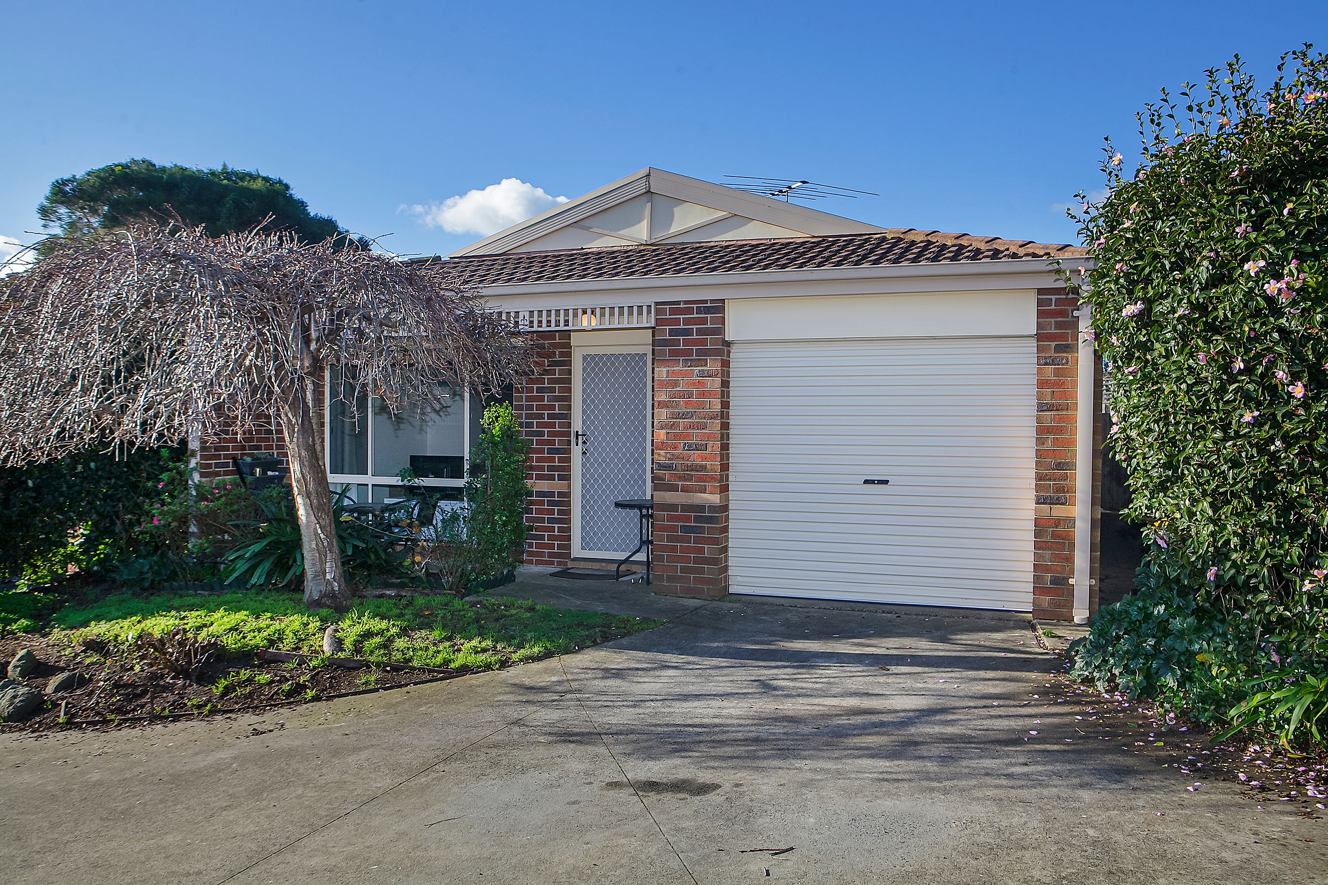 293 Cranbourne-Frankston Road, Langwarrin VIC 3910