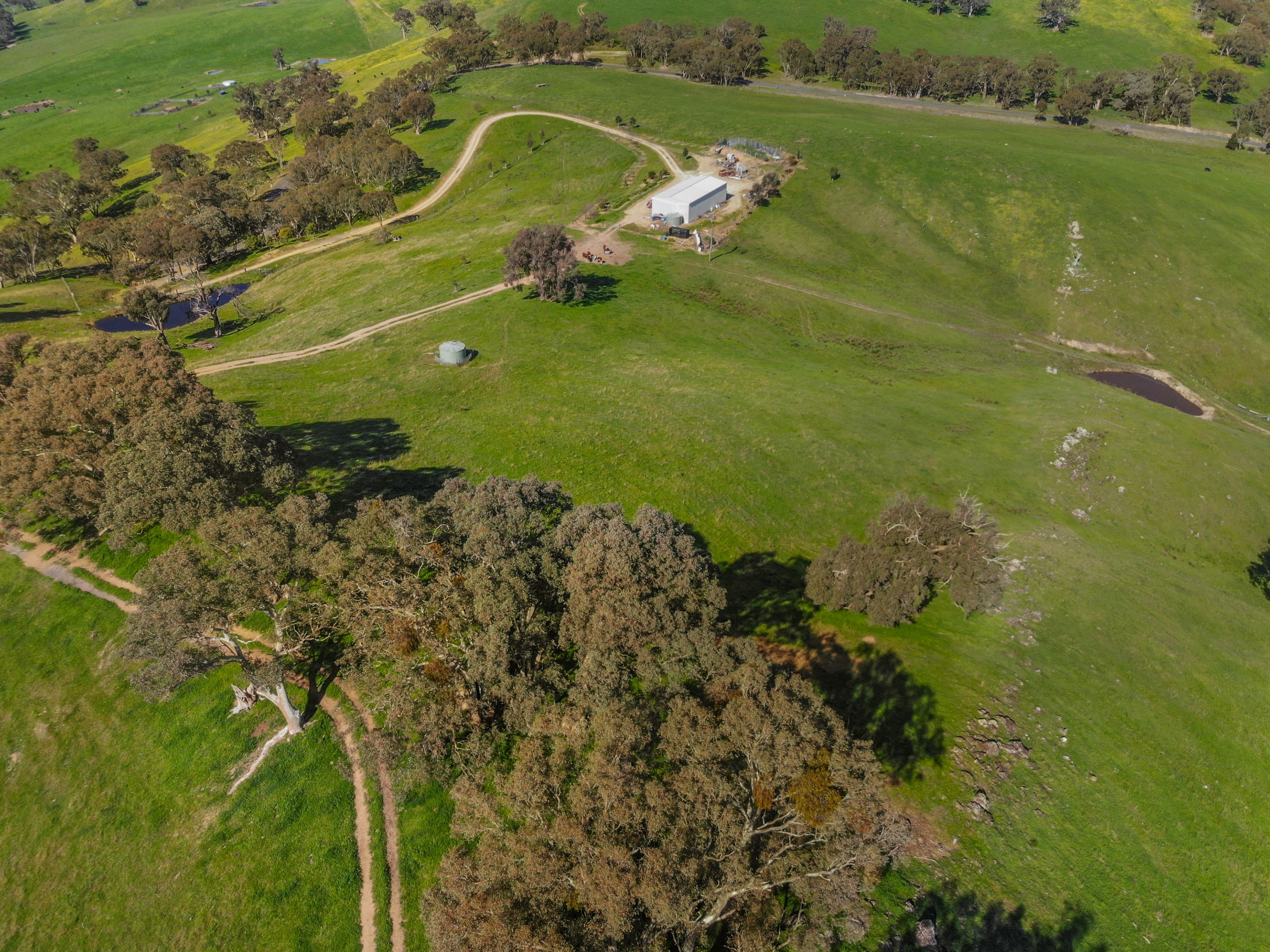 Lot 6 & 7 Brungle Road — photo 8 of 12