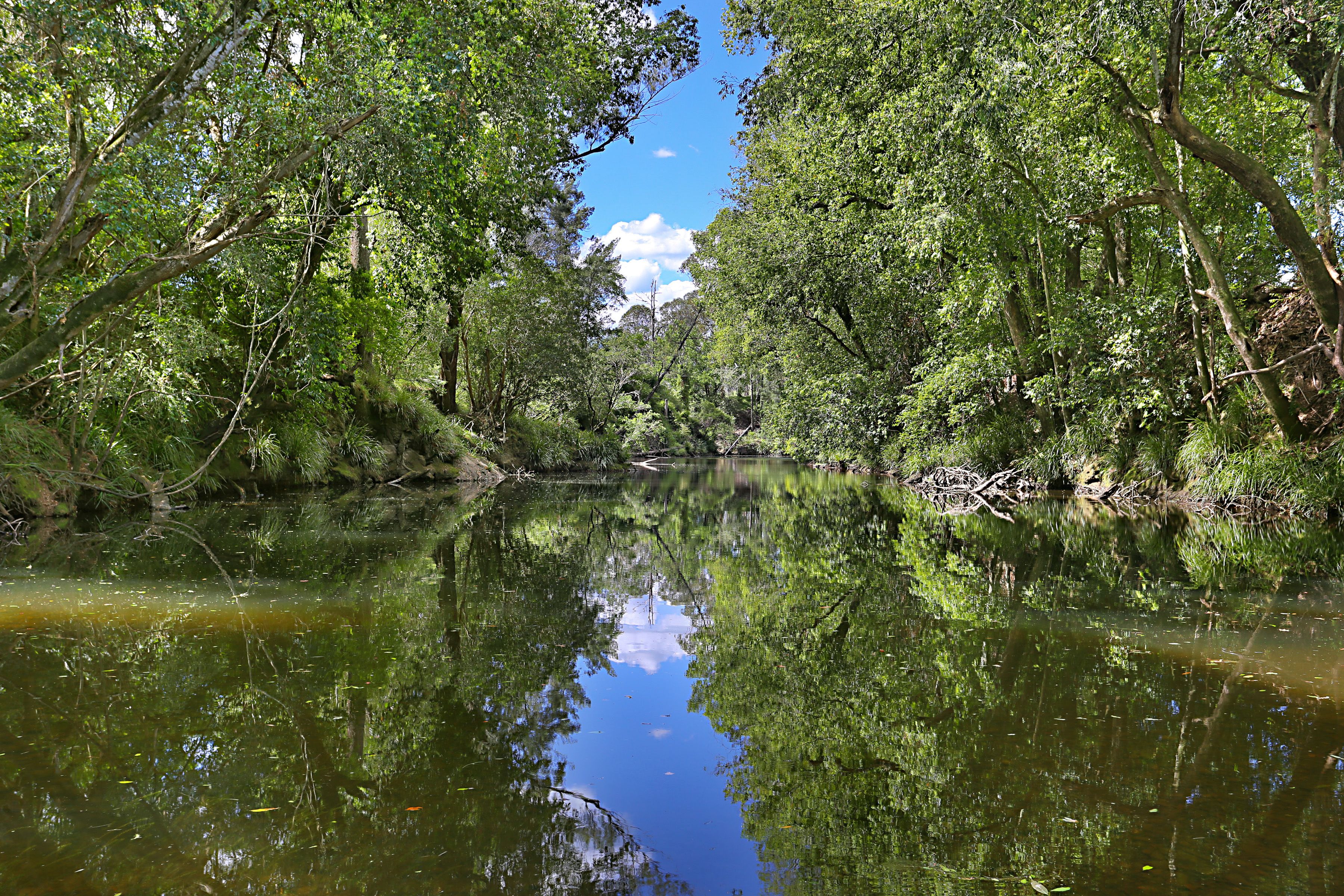 270 Fosterton Road, Dungog, NSW 2420