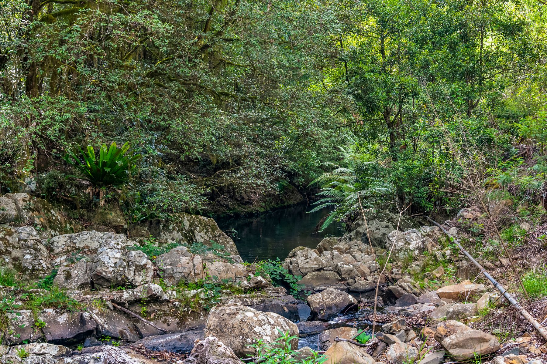 833 Craven Plateau Road, Craven Plateau, NSW 2422