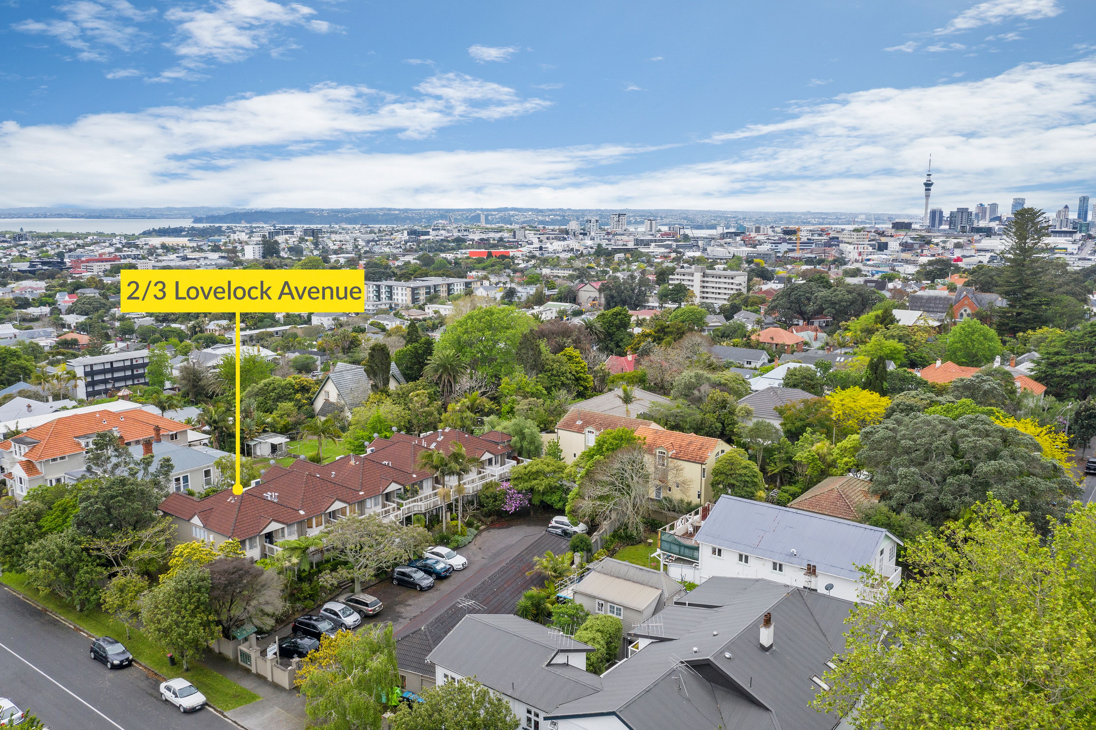 2/3 Lovelock Avenue, Mount Eden, Auckland City