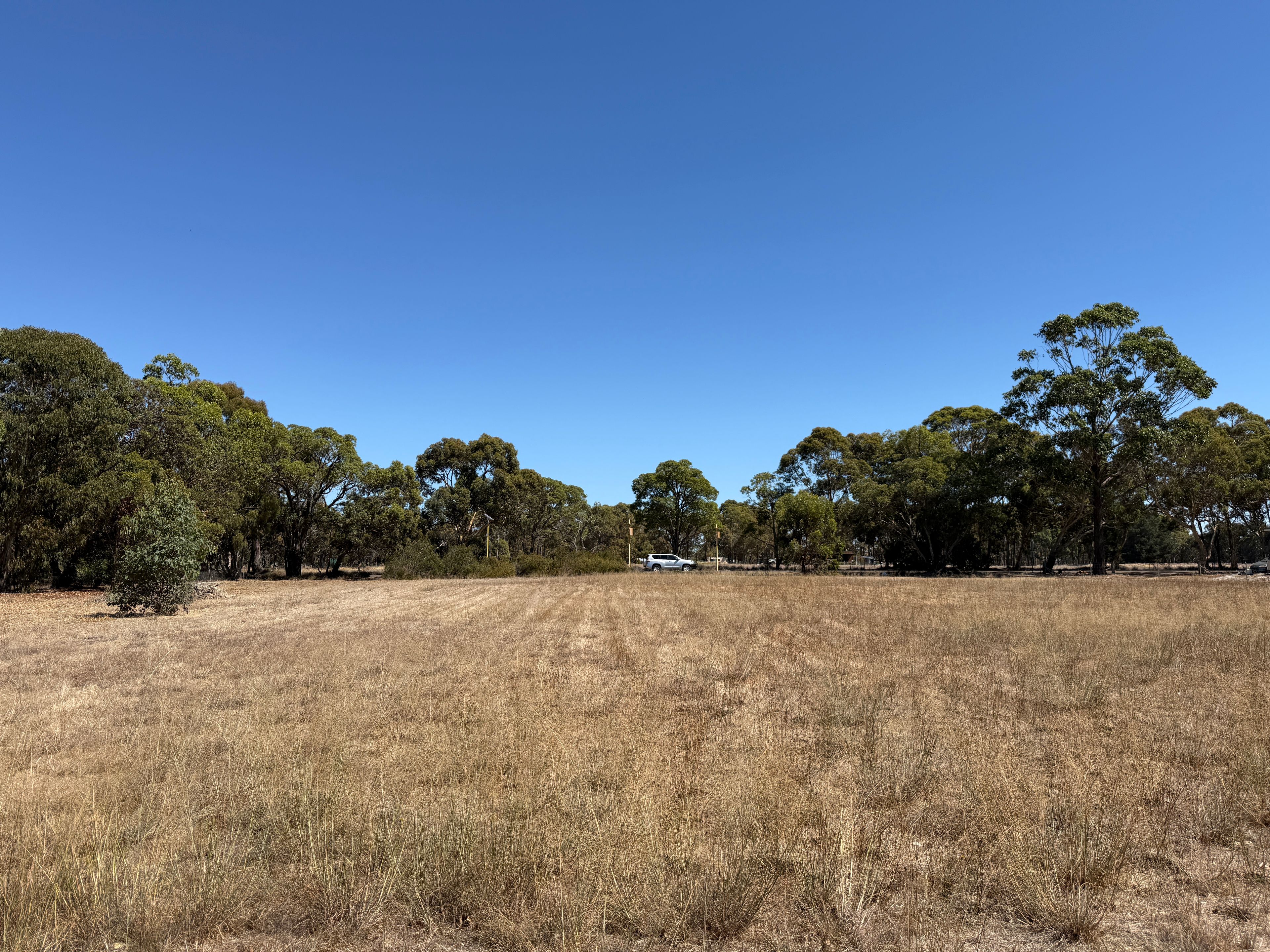 138 Chauvel Road, Kendenup, WA 6323 - Sold Land - Ray White Rural (WA)