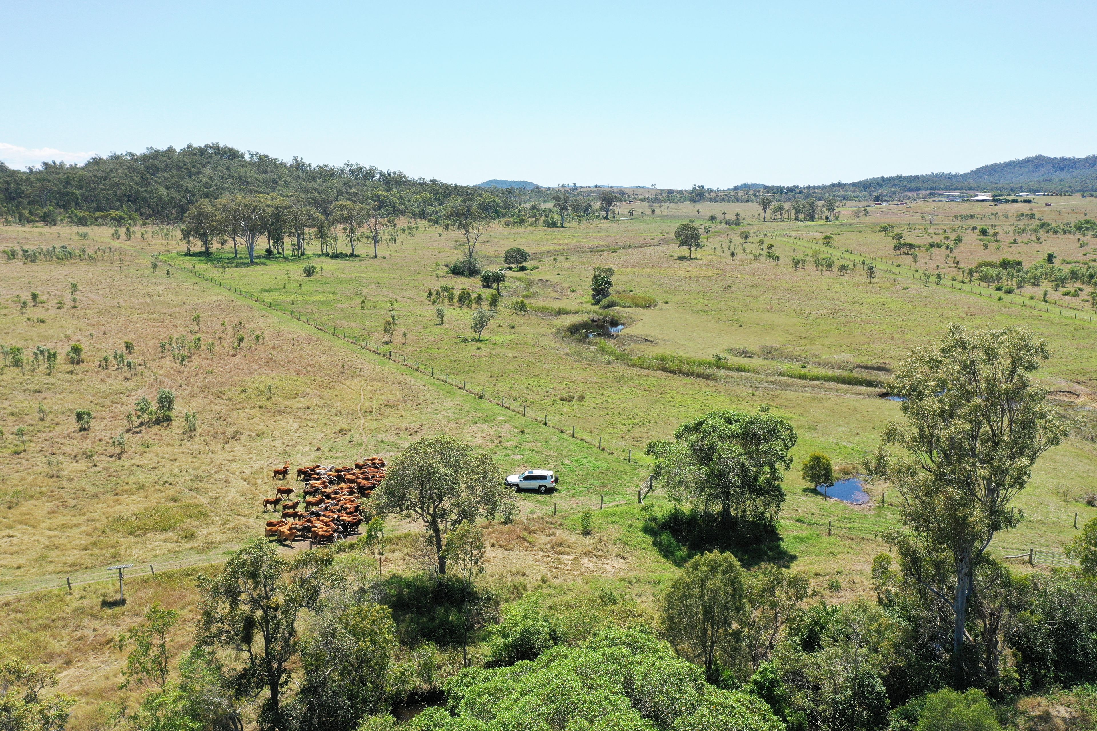360 Keppel Sands Road, Tungamull, QLD 4702 Sold Rural Lifestyle