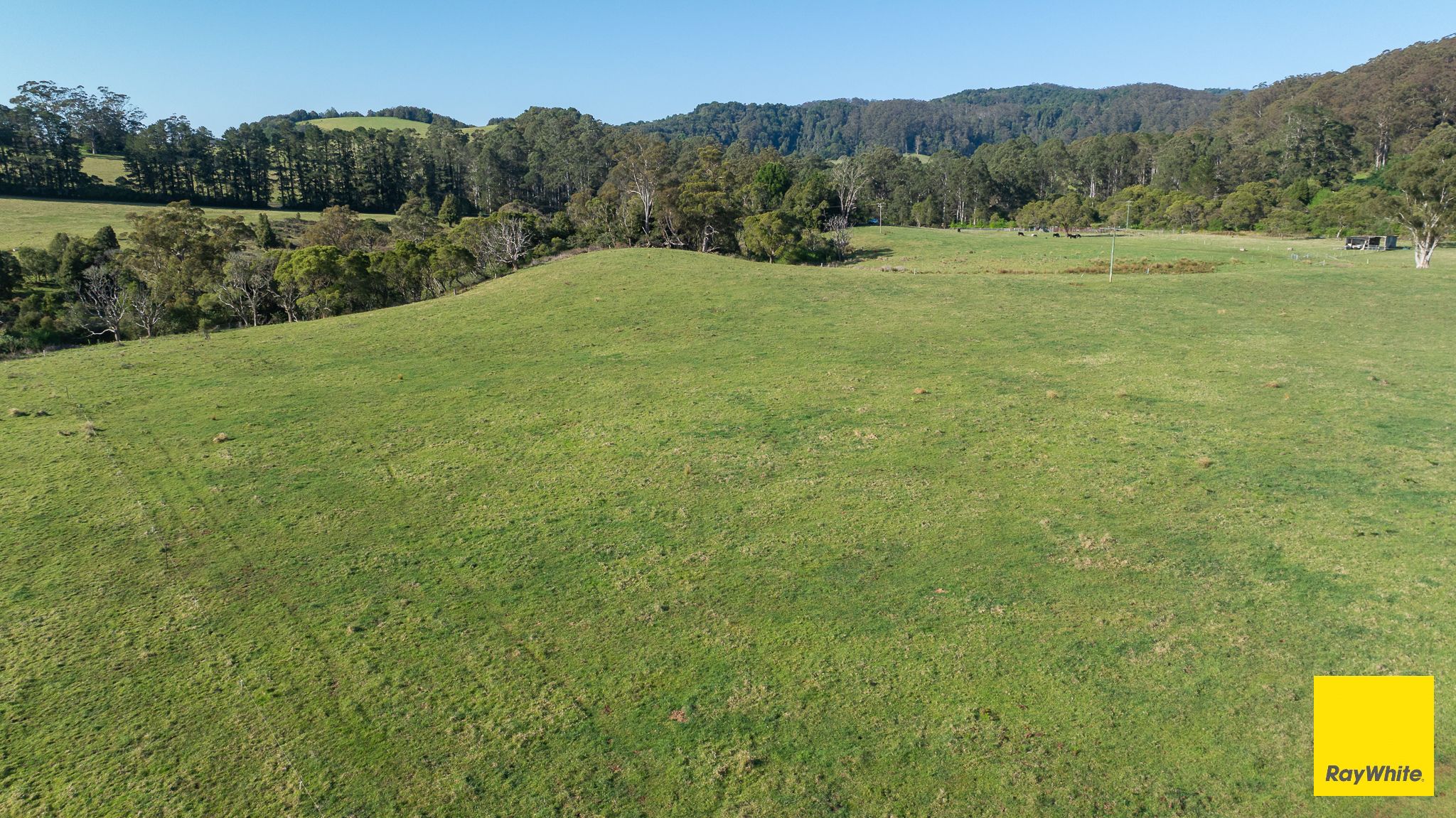 6060 Waterfall Way, Dorrigo, NSW 2453