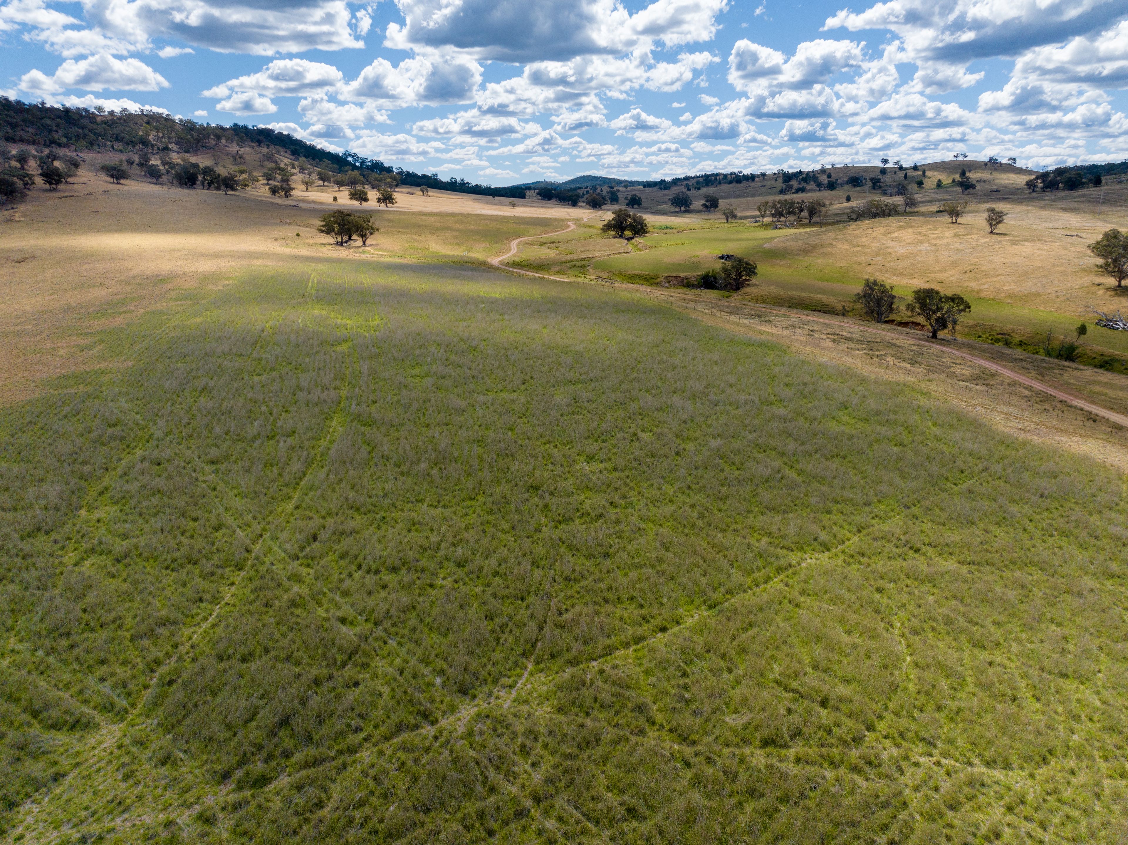 "Araluen" "Araluen" 273 McLachlans Road, Manildra, NSW 2865 Rural