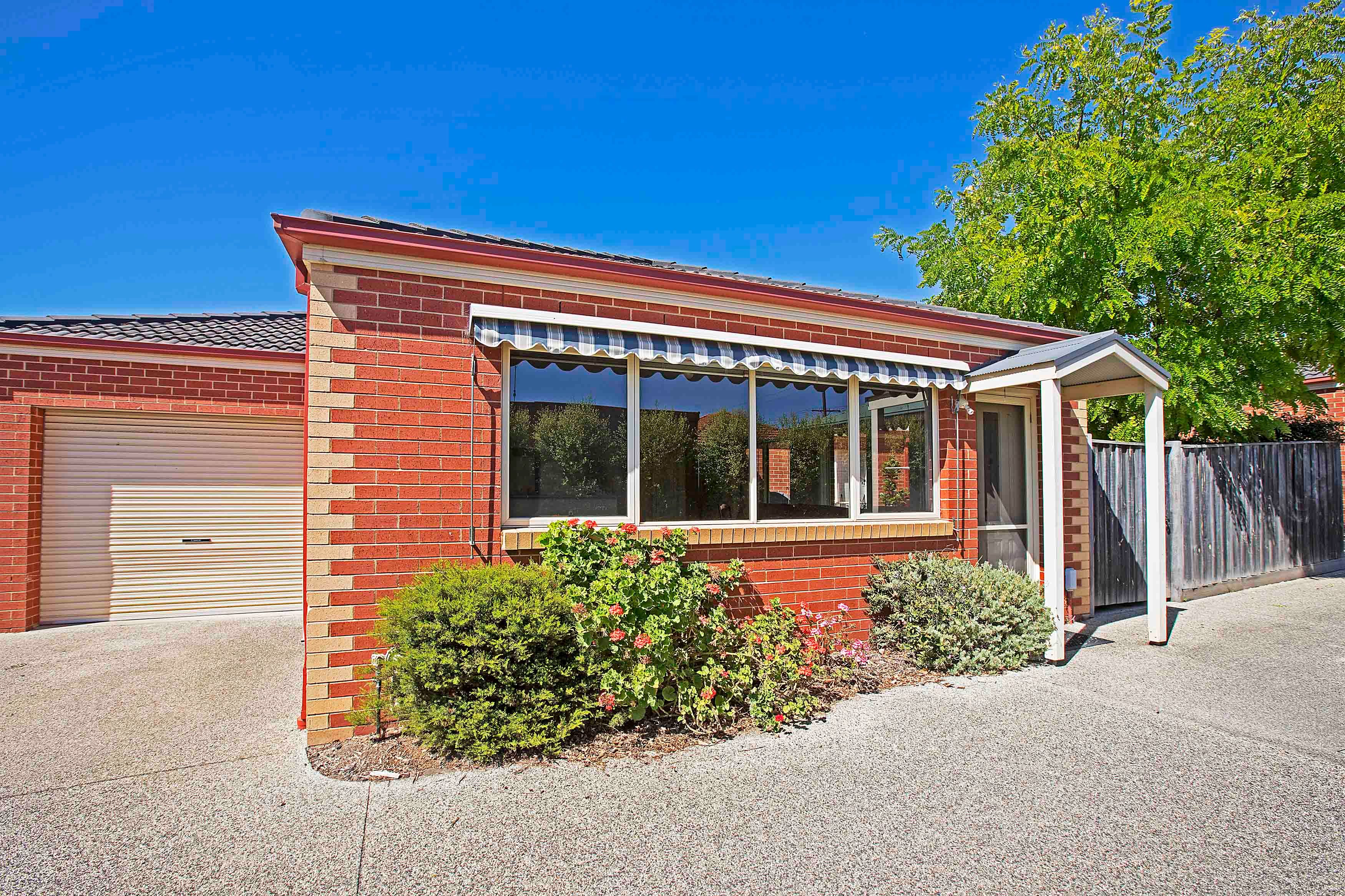 29 Francis Street, Belmont VIC 3216