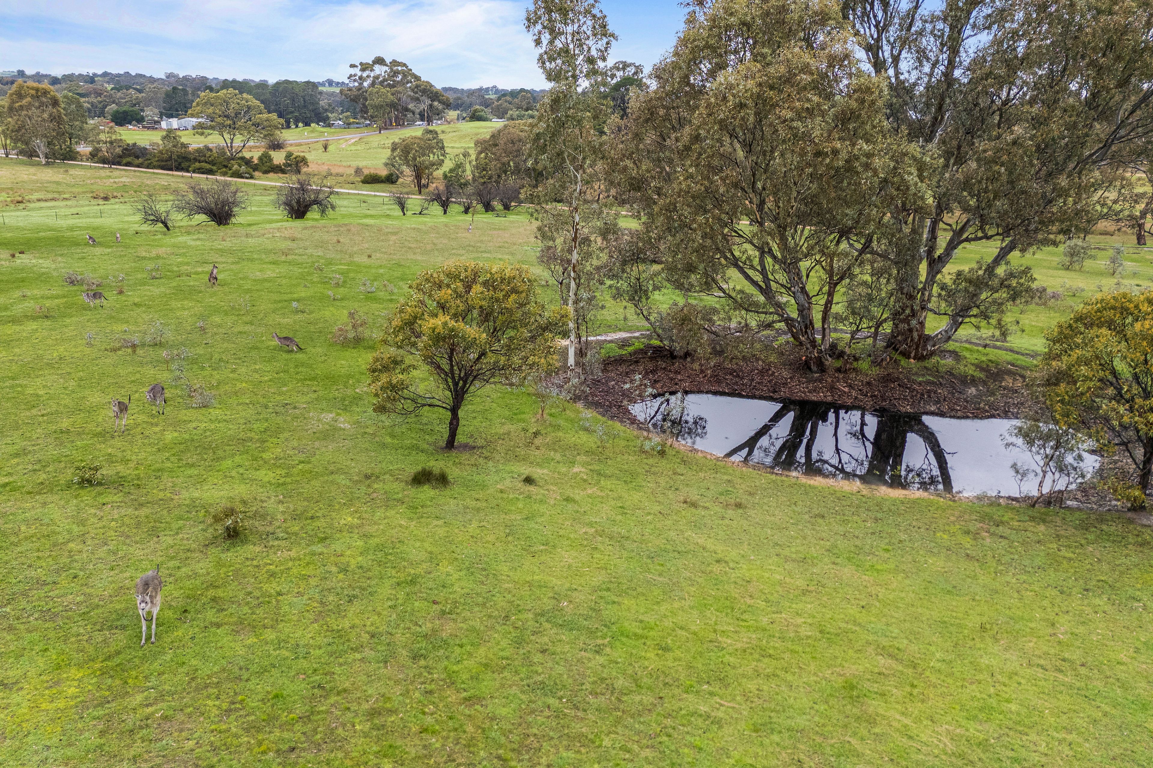C/A 272 Rifle Range Road — photo 3 of 8