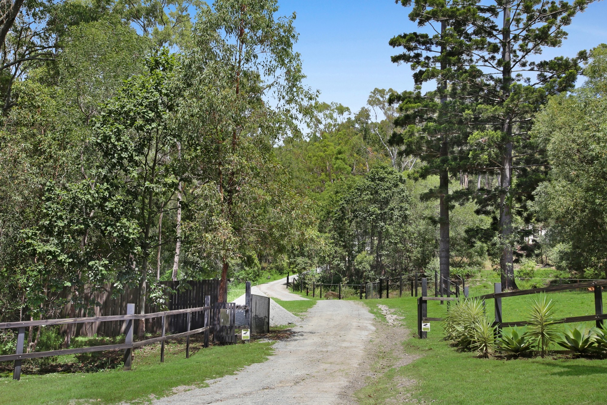 745 Gilston Road, Gilston, QLD 4211