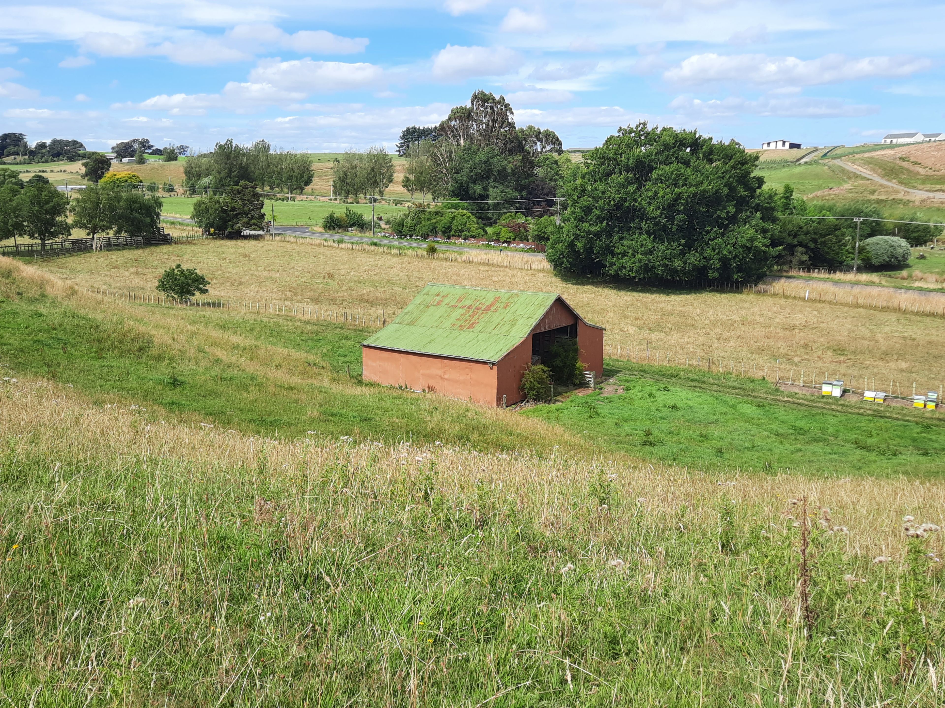 1061 Makino Road, Feilding, Manawatu District 4702 Rural Finishing