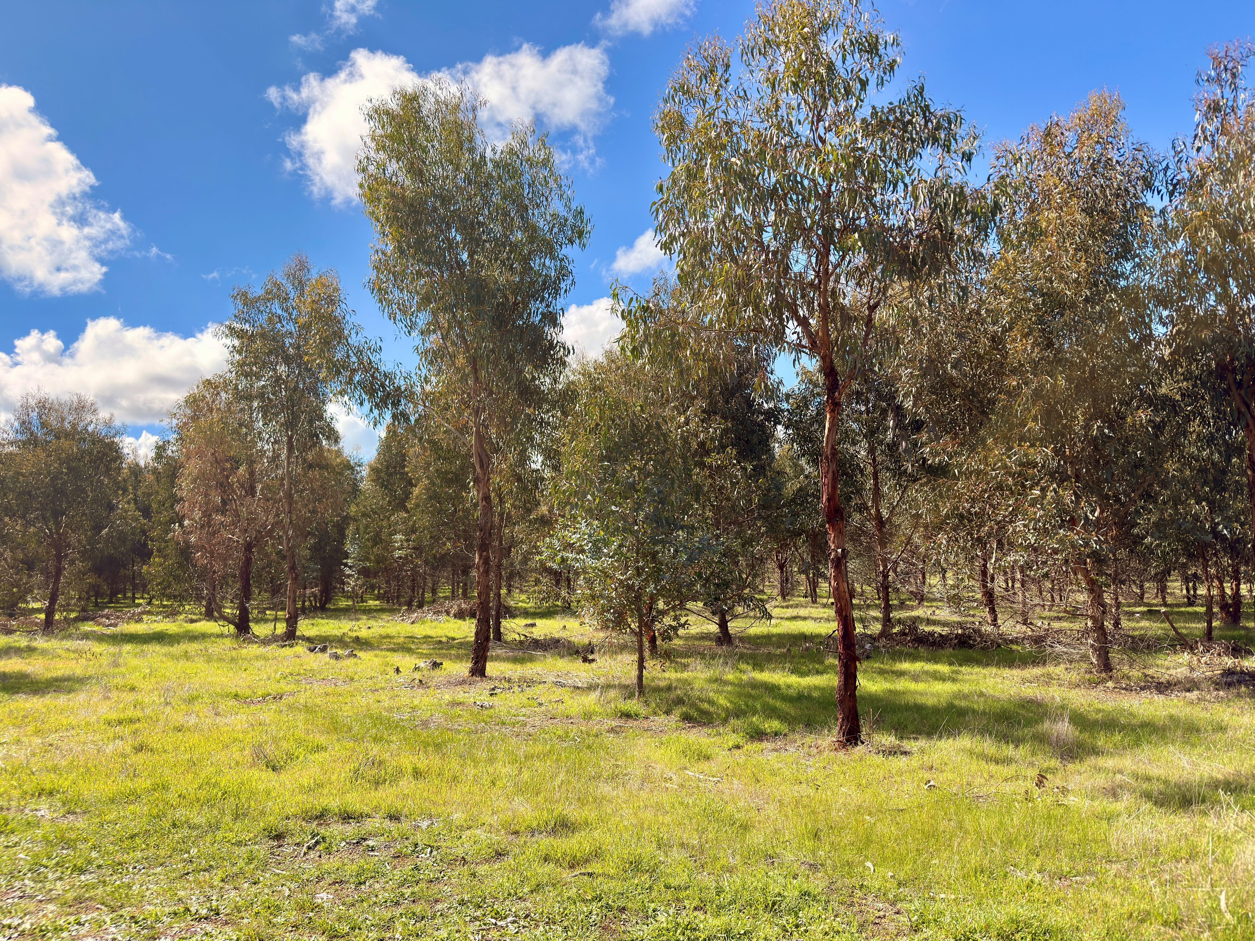 Lot 100 Area Road — photo 14 of 17