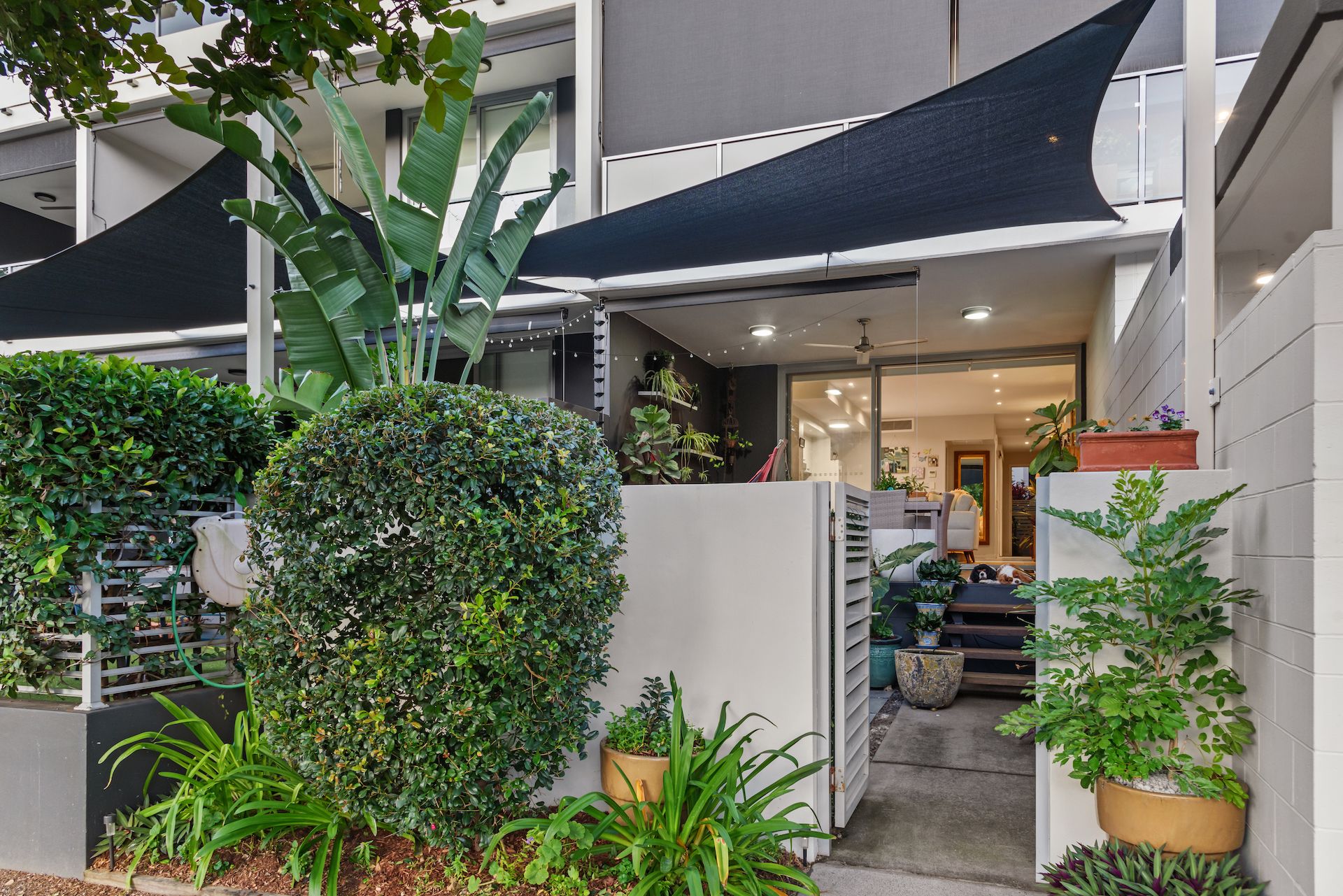 3/70 Love Street, Bulimba, QLD 4171