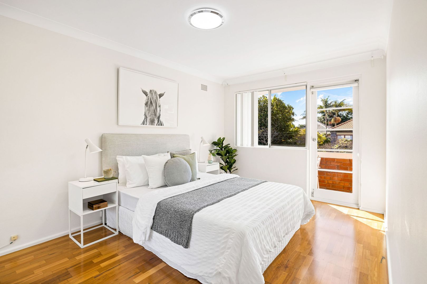 4/20 Blenheim Street, Randwick, NSW 2031