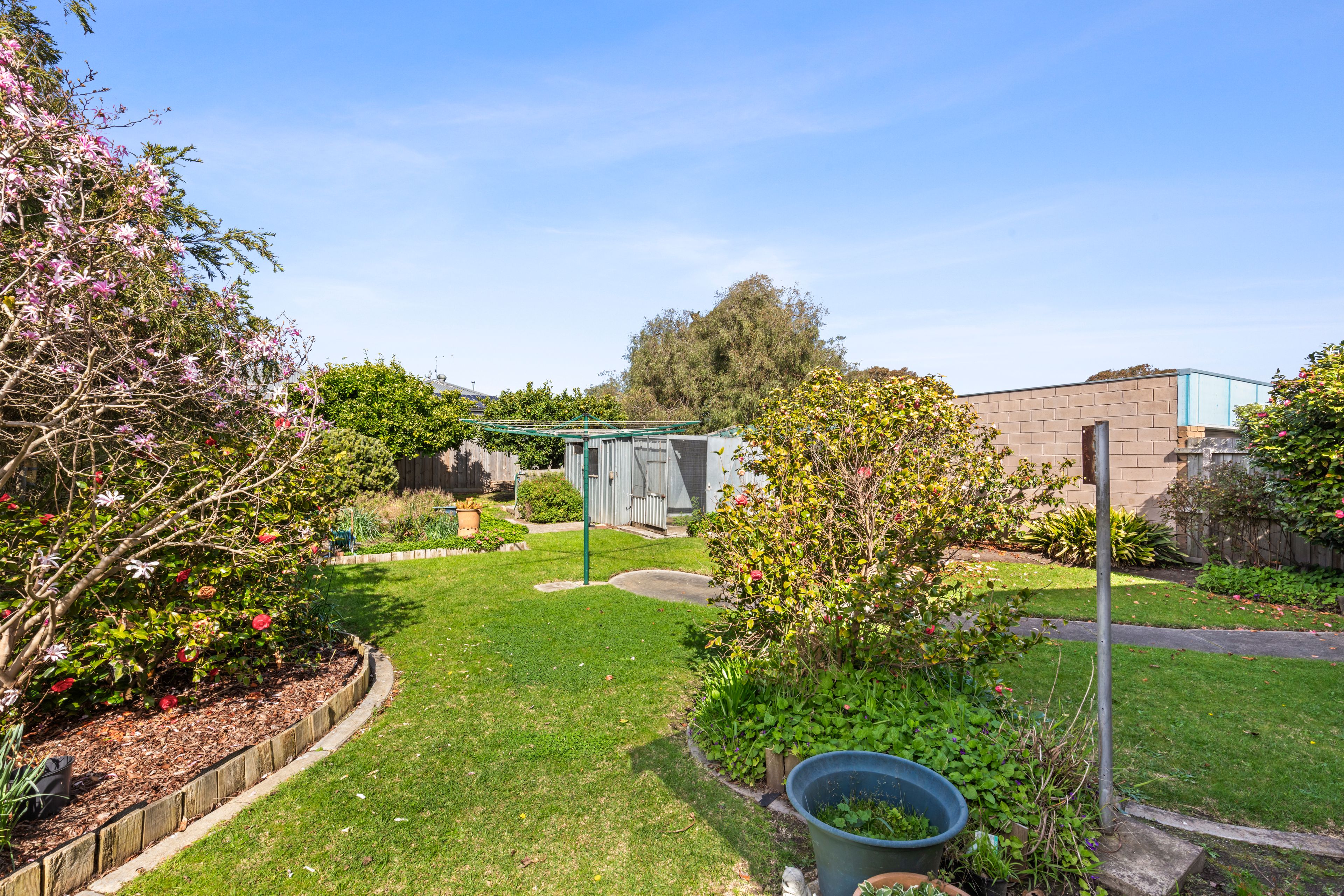 41 Palmerston Street — photo 14 of 14