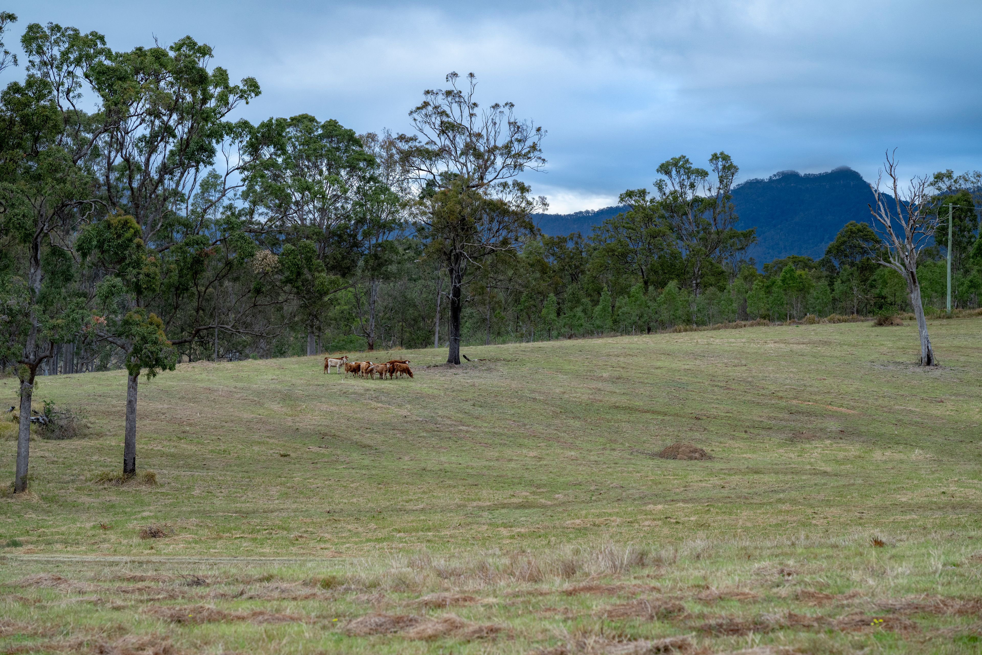 0 Cunningham Highway — photo 14 of 22