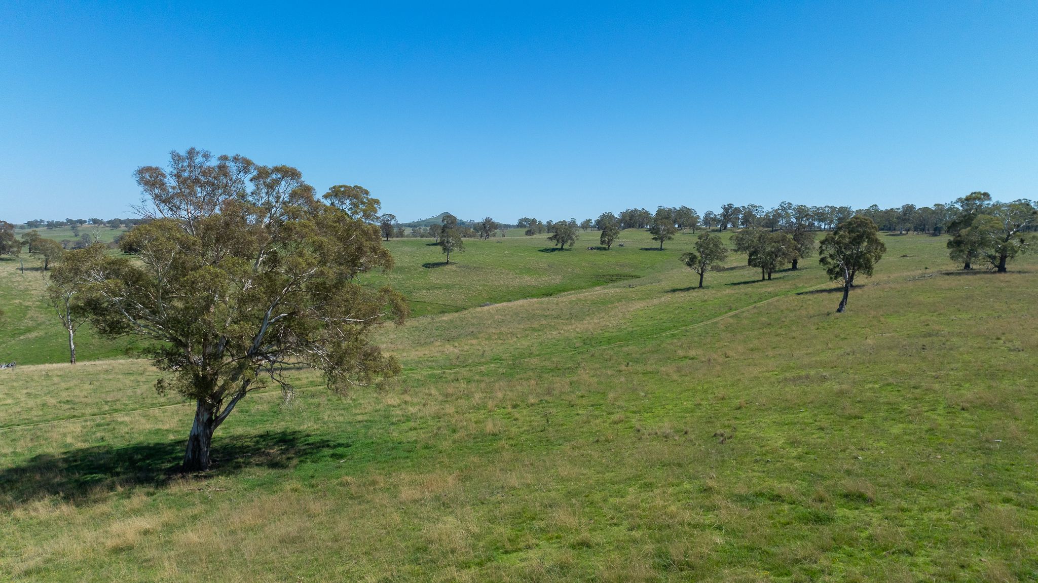 1006 Green Hills Road, Guyra, NSW 2365