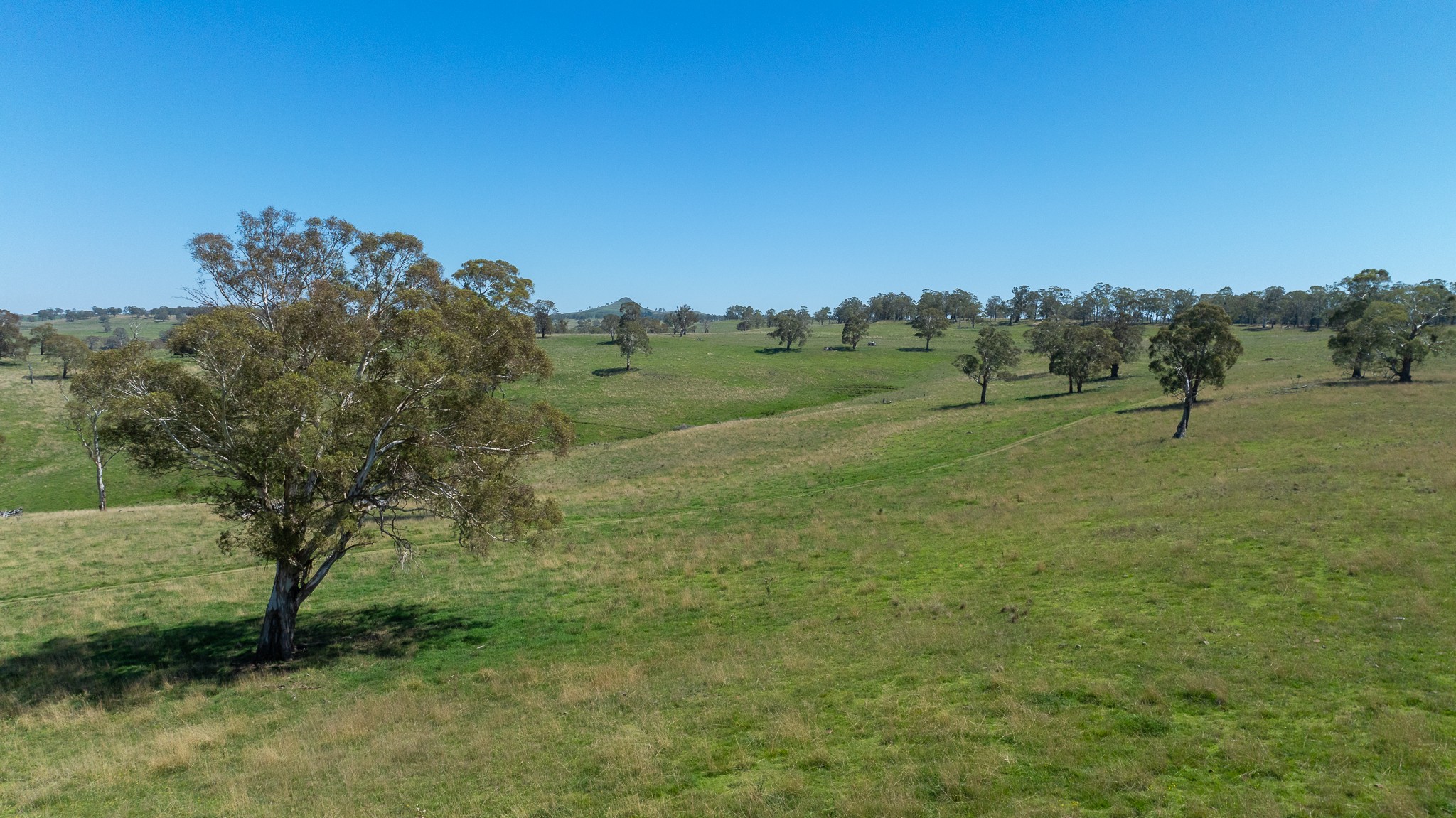 1006 Green Hills Road, Guyra, NSW 2365