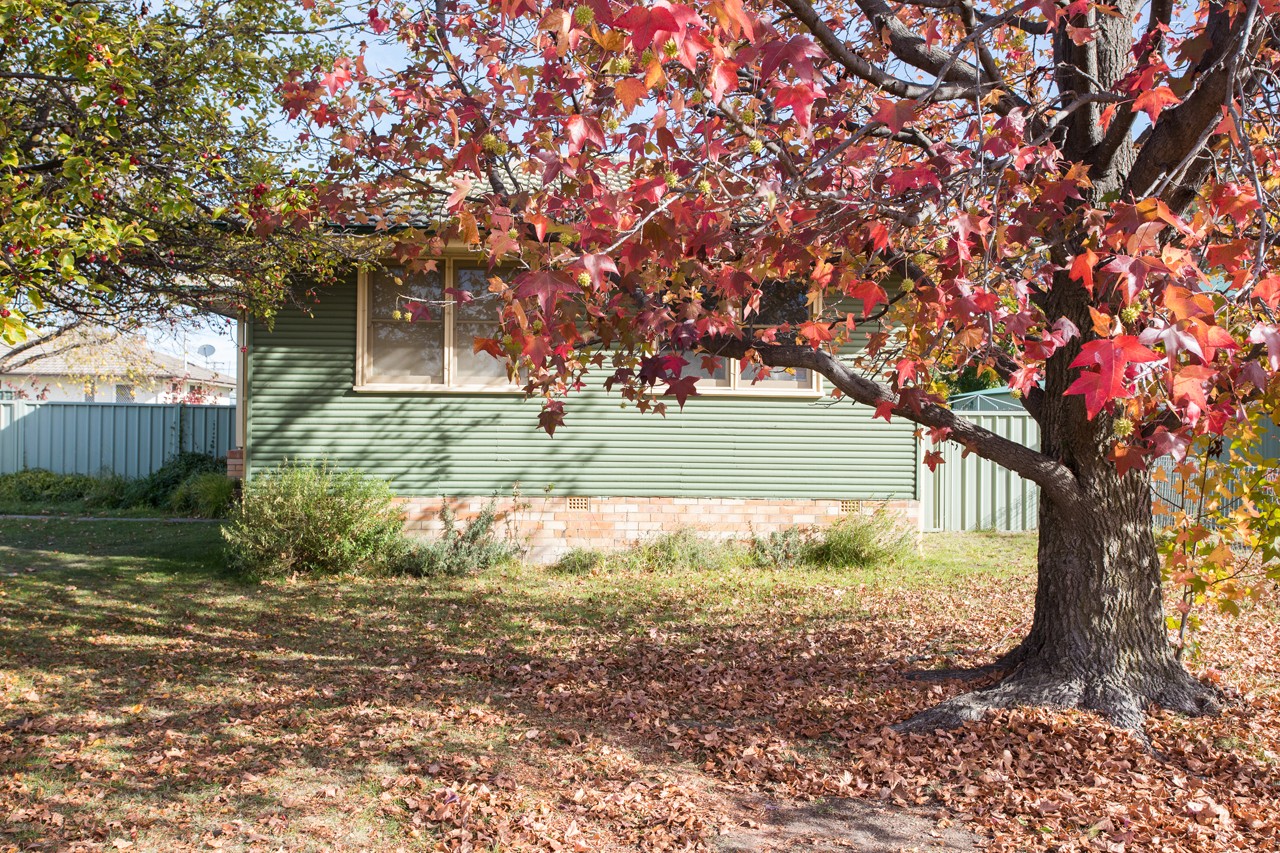 22 Claude Street, Armidale, NSW 2350