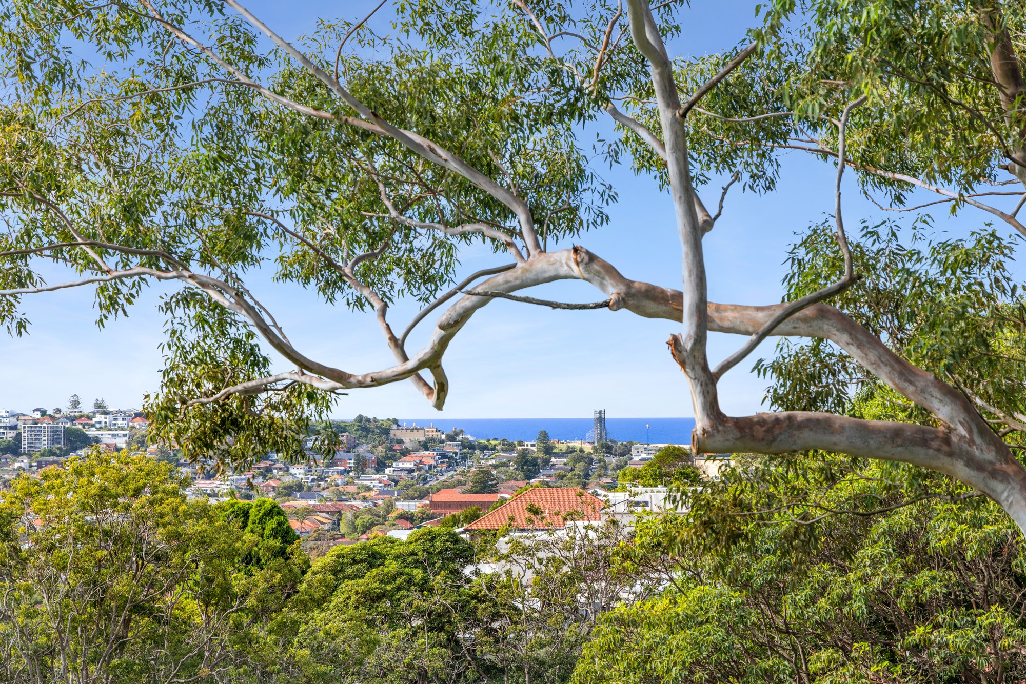 2/159 Victoria Road, Bellevue Hill, NSW 2023