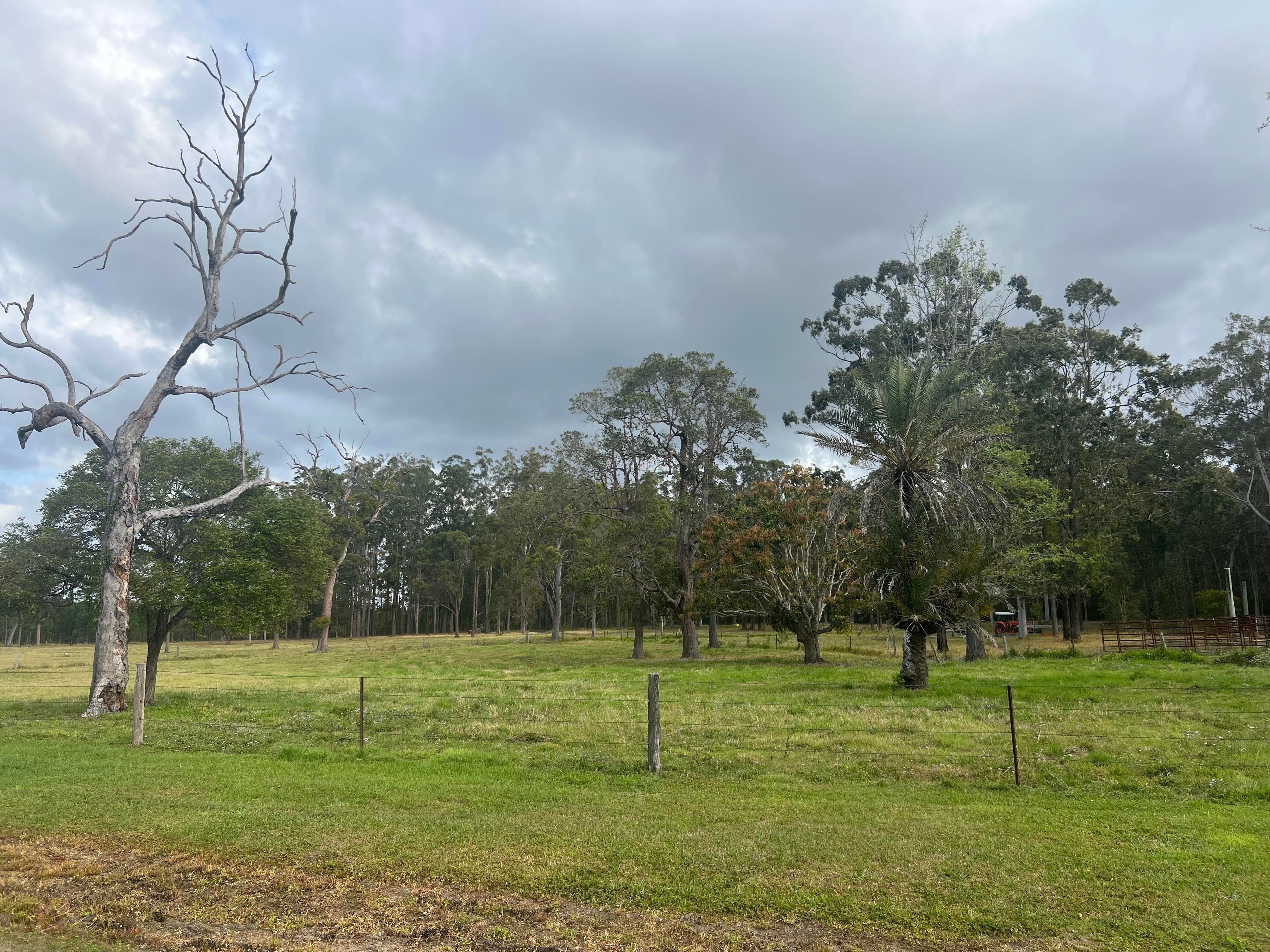 Woodford, QLD 4514 — photo from Ray White Rural Dayboro