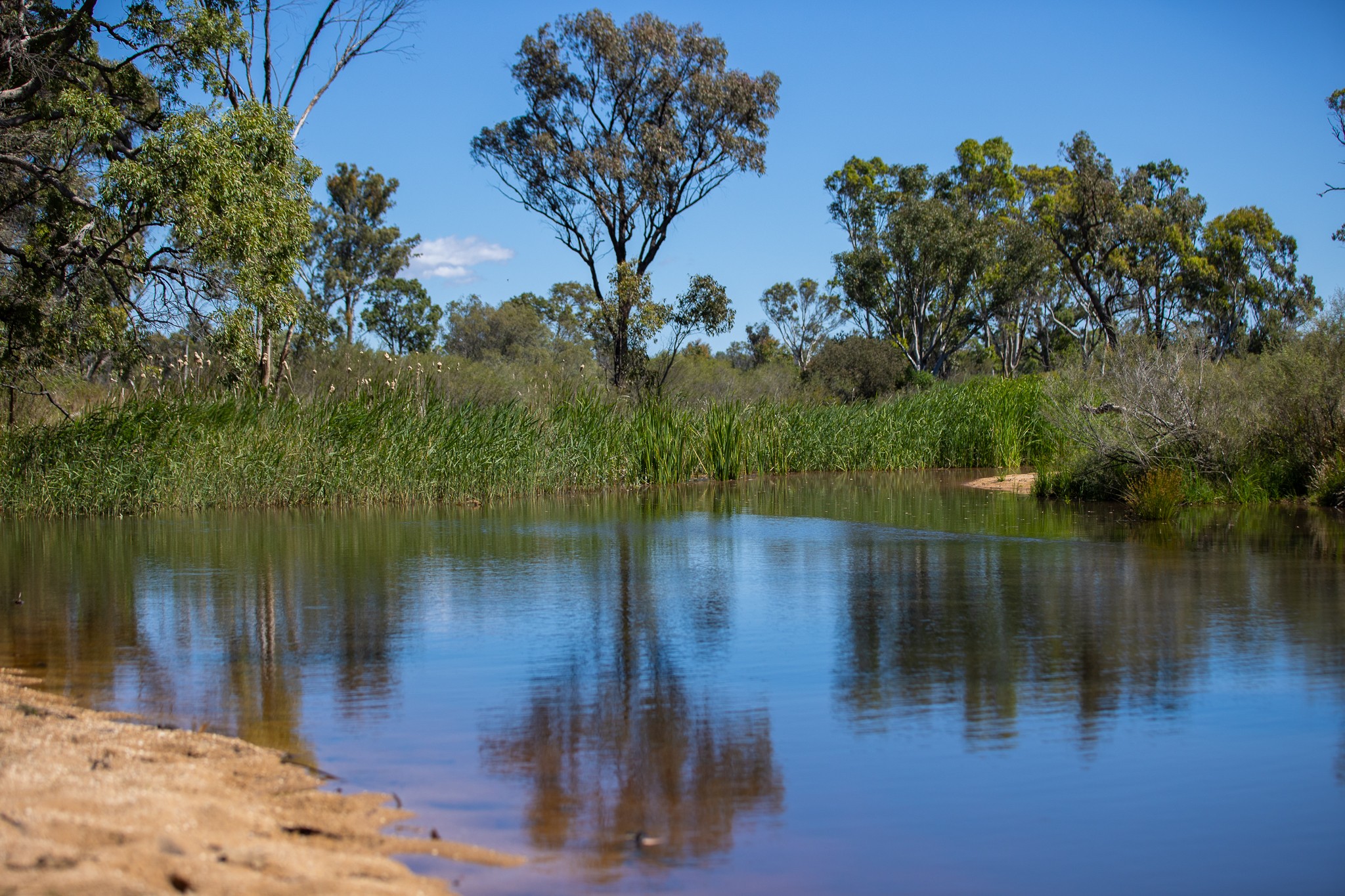 Lot 66 Glen Hazel Road, Inverell, NSW 2360