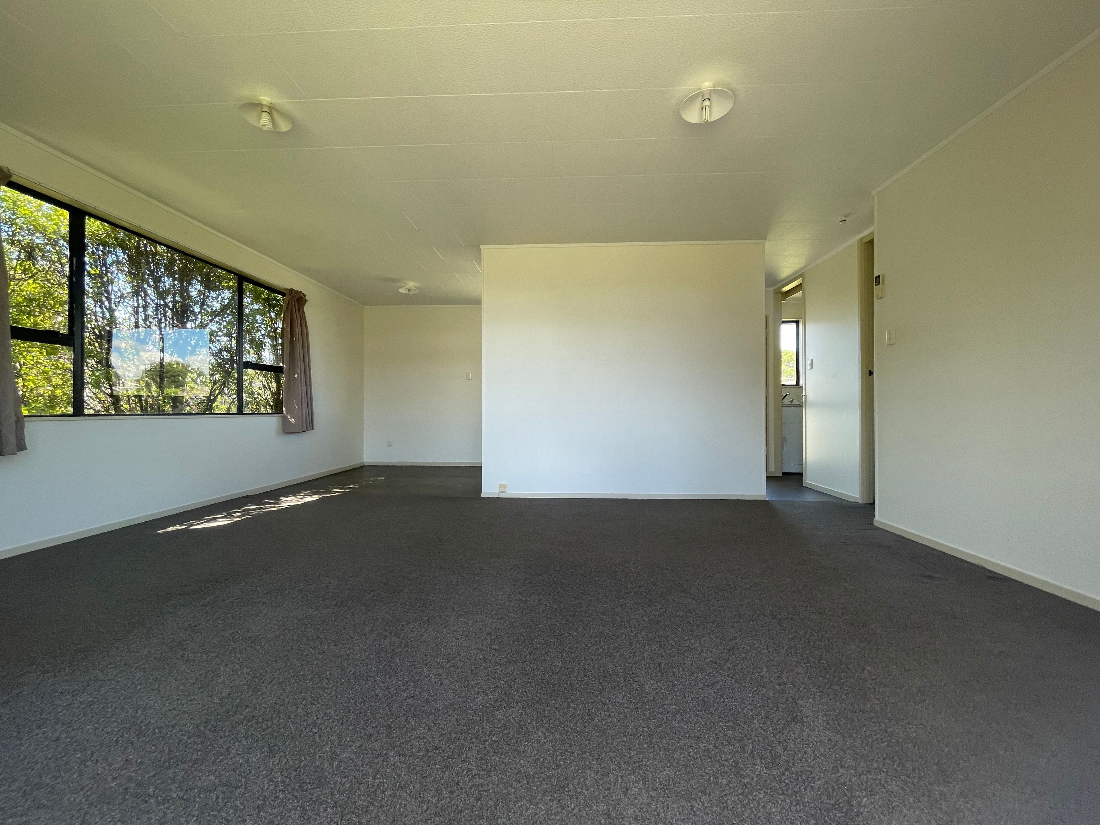 8 Purcell Place, Melville, Hamilton City