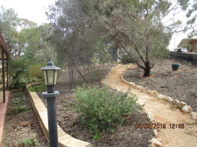 1784 Bookpurnong Road, Loxton, SA 5333