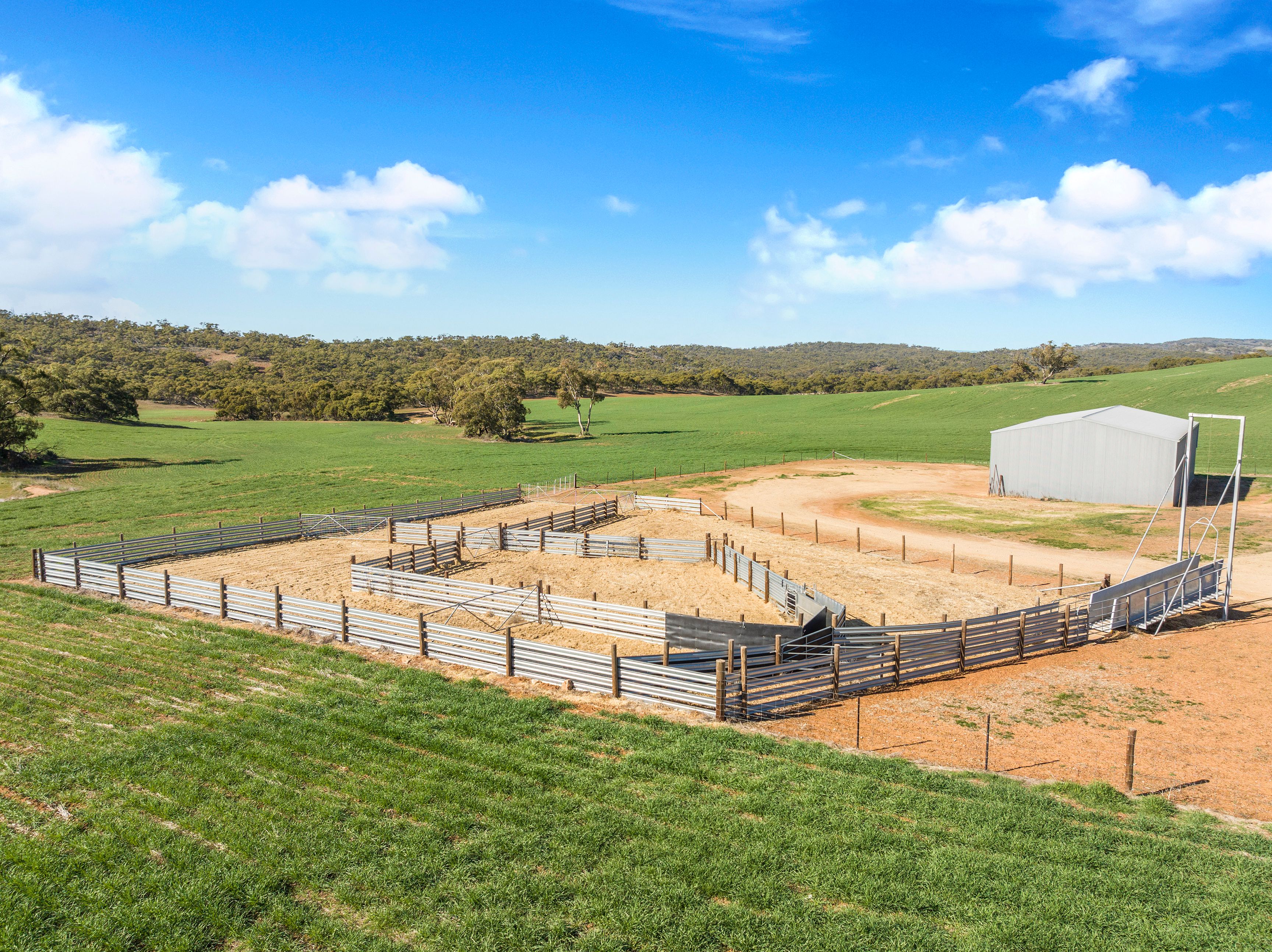 'Gum View Hills' Road, Pekina, SA 5431 Rural Mixed Farming