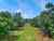 565 Kerikeri Road photo 12