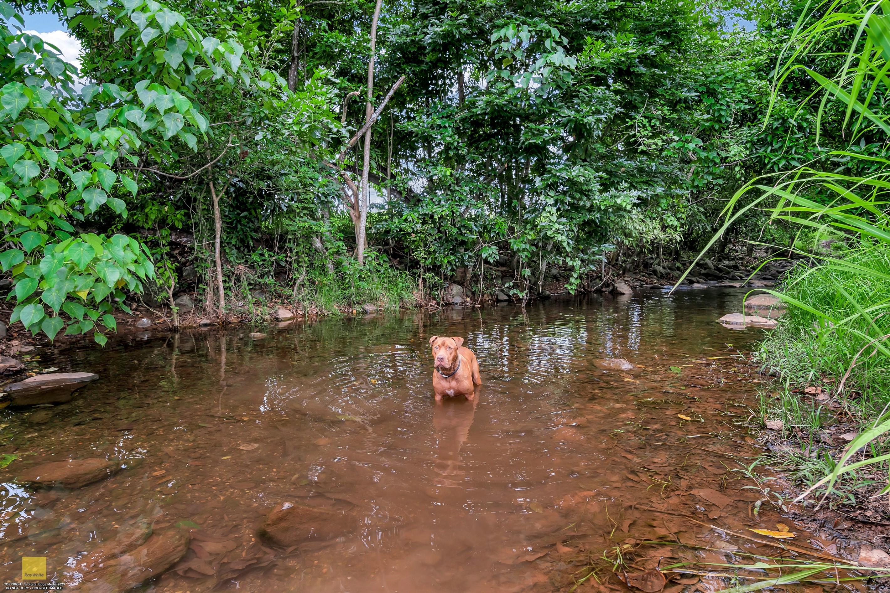 20 Rockycreek Drive, Mount Peter, QLD 4869