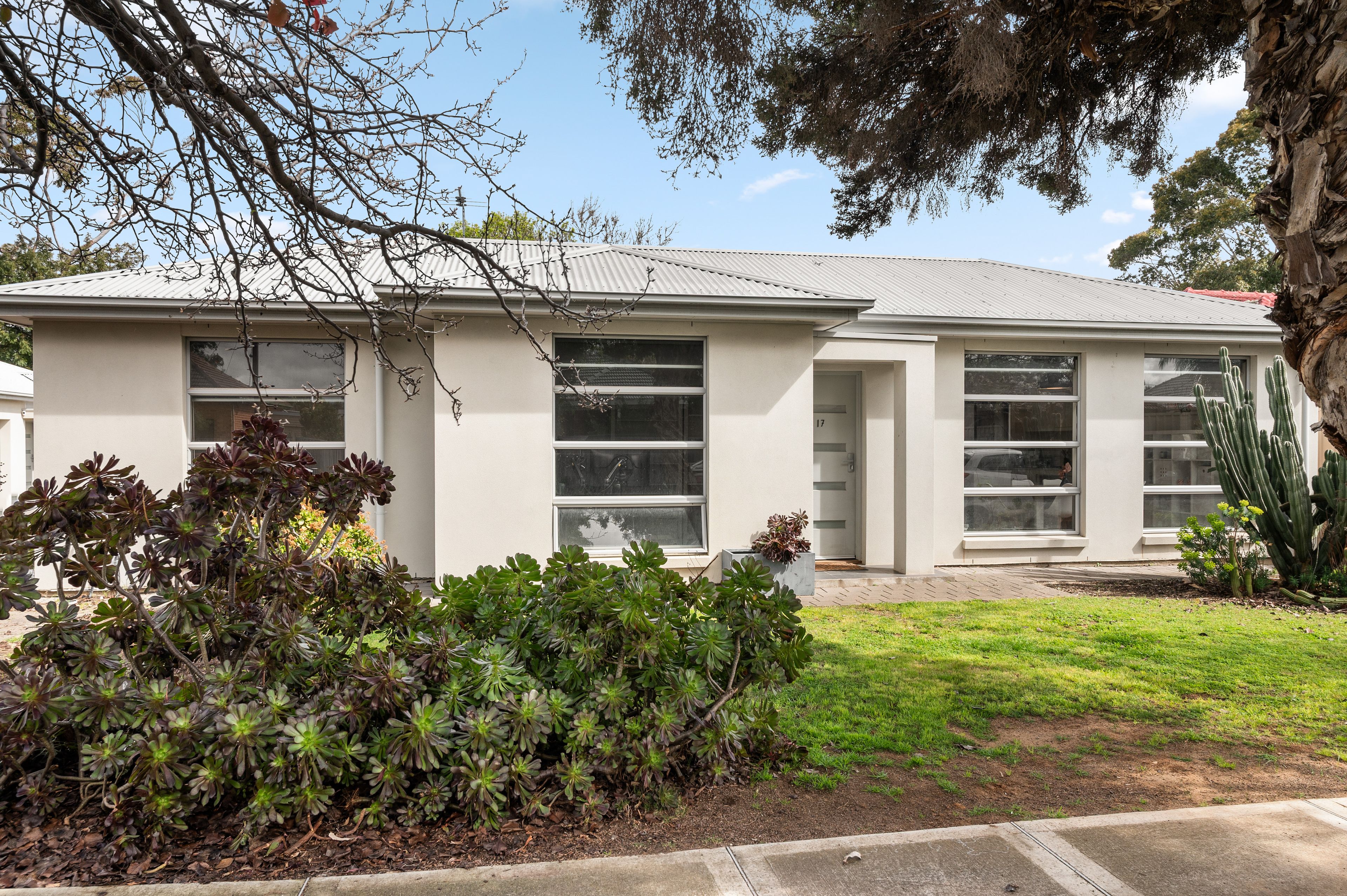 17 Downer Street — photo from Ray White Unley
