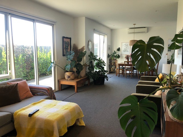 15 Radisich Place, Mt Maunganui, Tauranga City